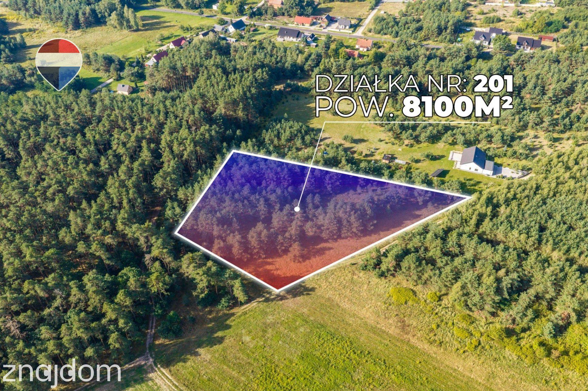 Działka leśna pow. 8.100 m², Bukowina Sycowskiej - zdjęcie 6