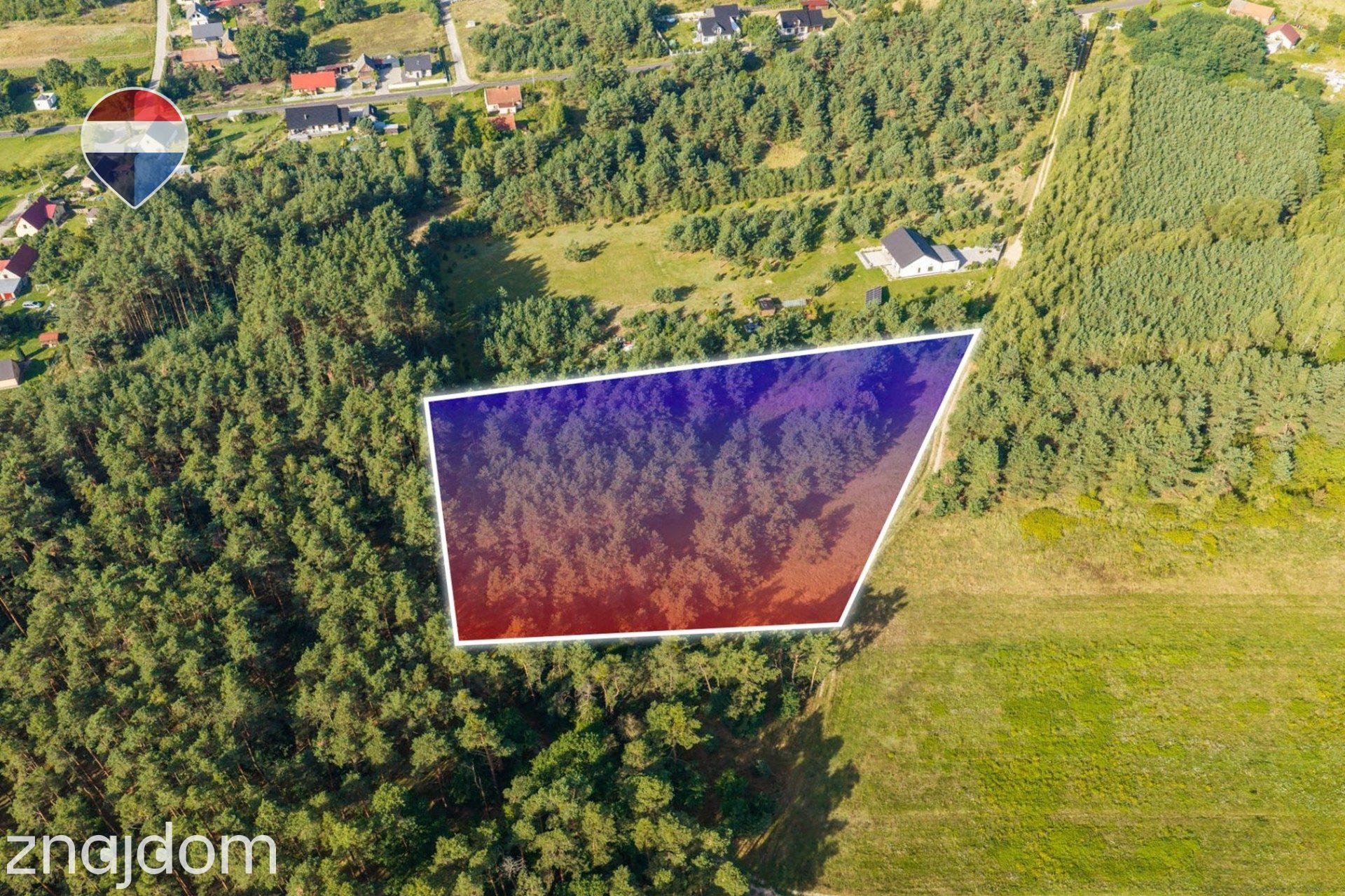 Działka leśna pow. 8.100 m², Bukowina Sycowskiej - zdjęcie 7