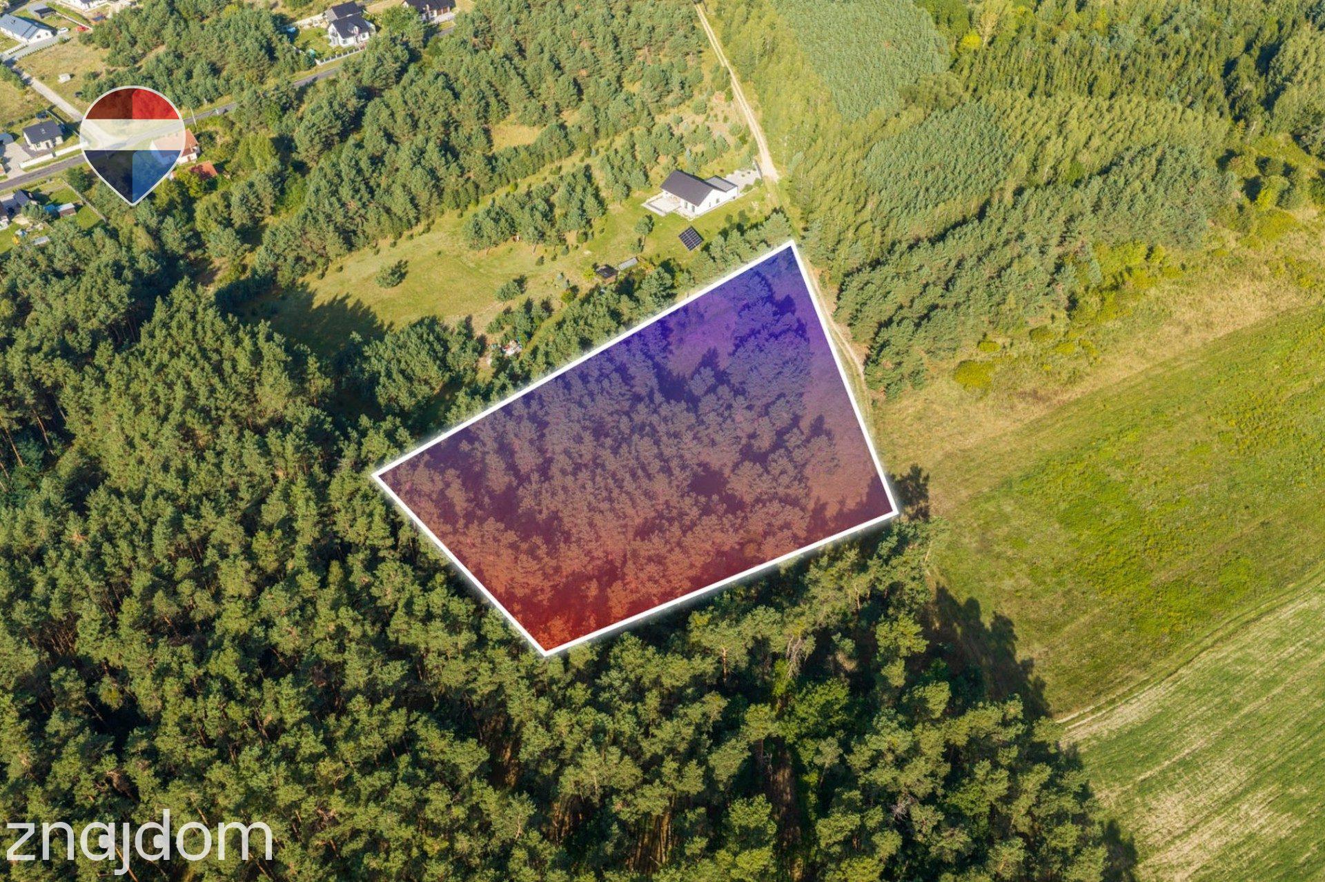 Działka leśna pow. 8.100 m², Bukowina Sycowskiej - zdjęcie 8