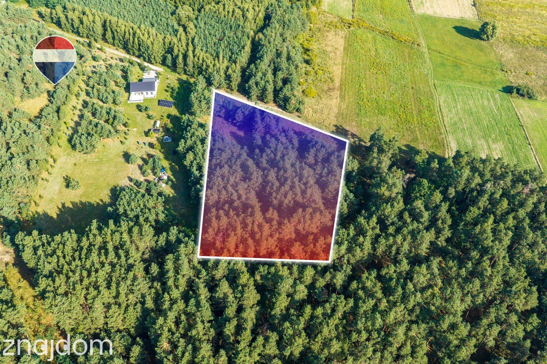Działka leśna pow. 8.100 m², Bukowina Sycowskiej - zdjęcie 9