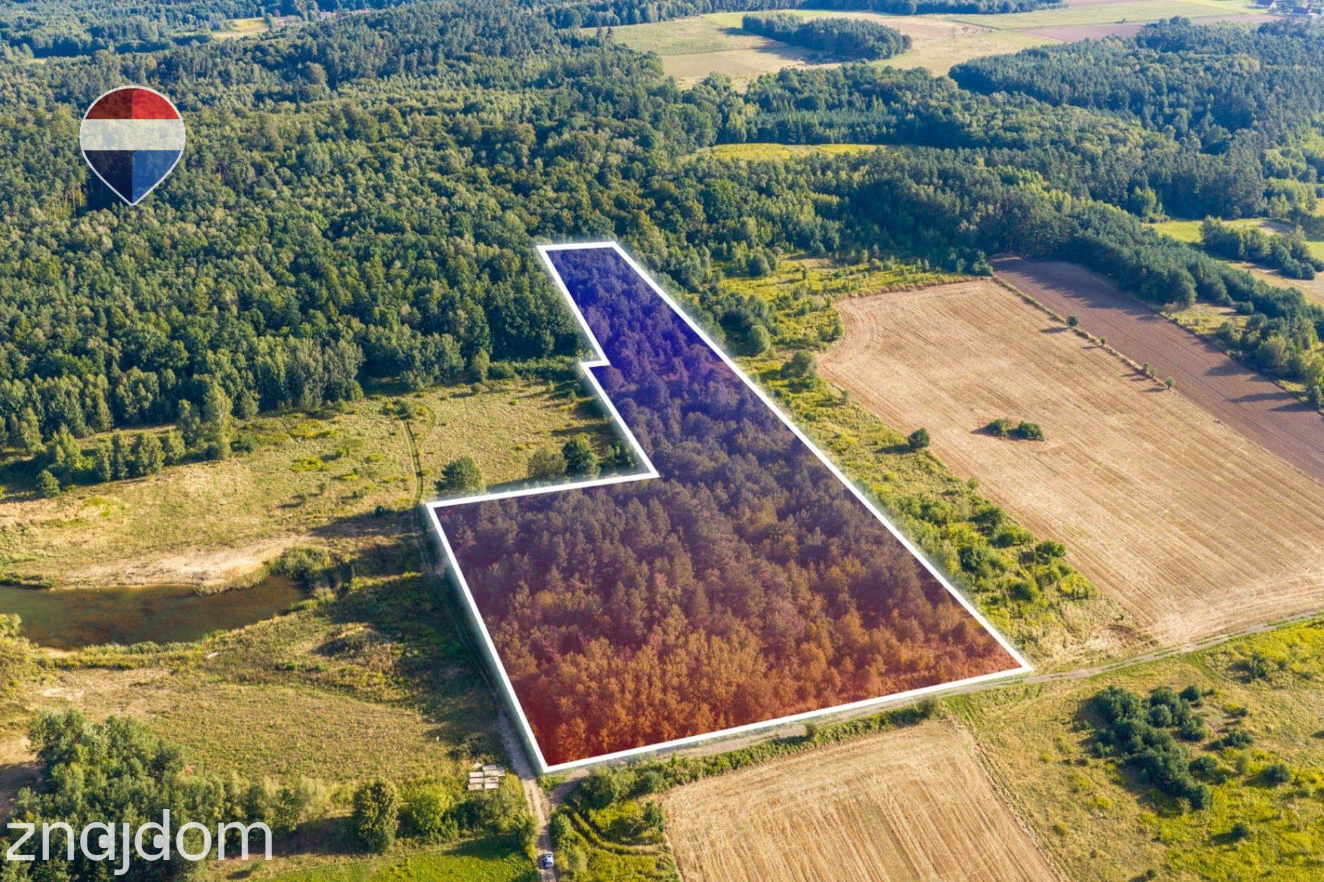 Działka leśna pow. 29.600 m², Bukowina Sycowska