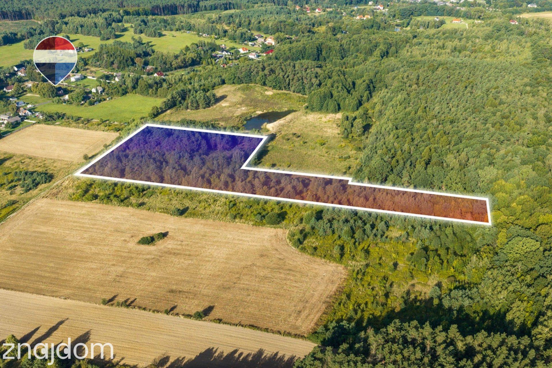Działka leśna pow. 29.600 m², Bukowina Sycowska - zdjęcie 10