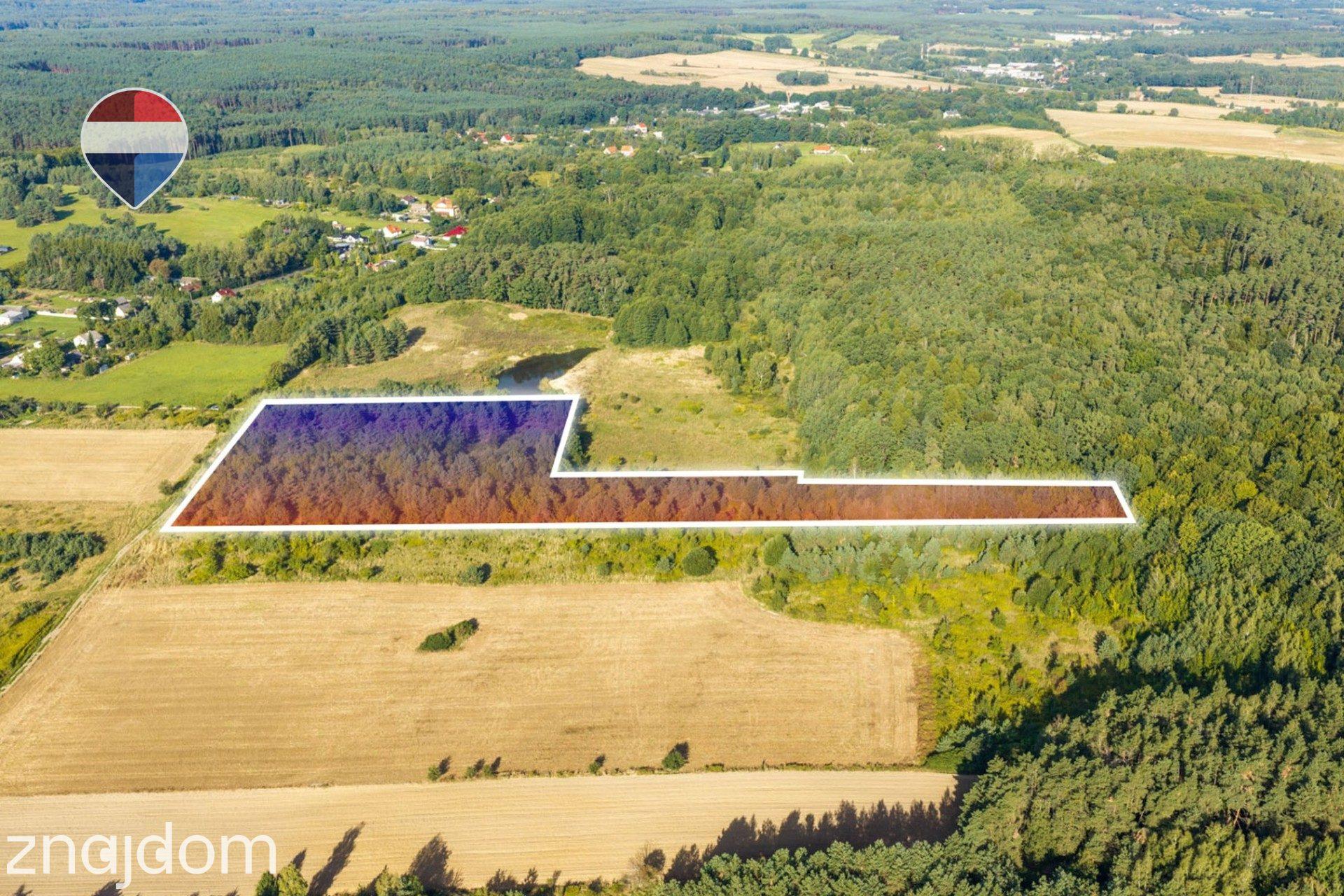 Działka leśna pow. 29.600 m², Bukowina Sycowska - zdjęcie 11