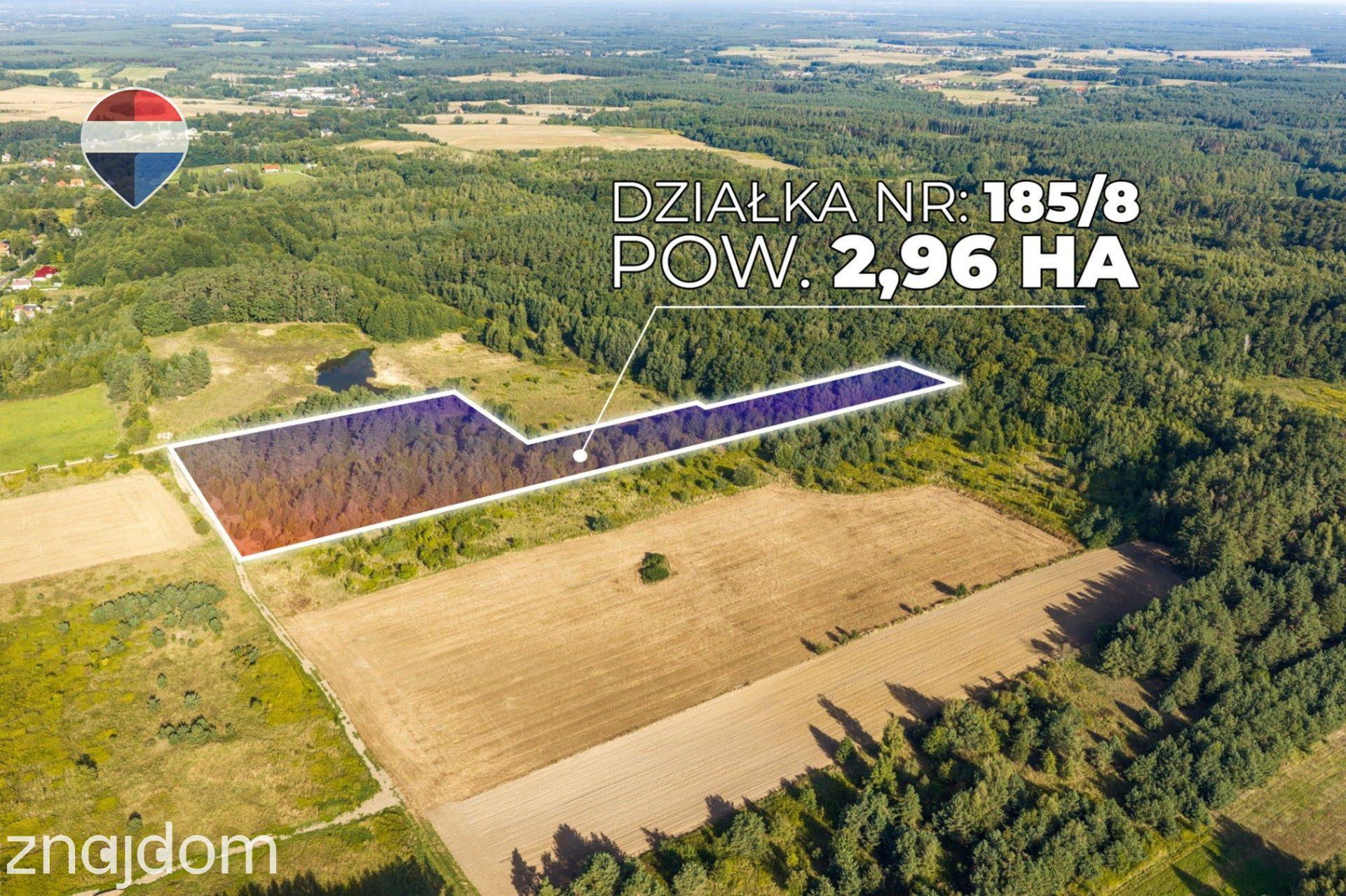 Działka leśna pow. 29.600 m², Bukowina Sycowska - zdjęcie 12