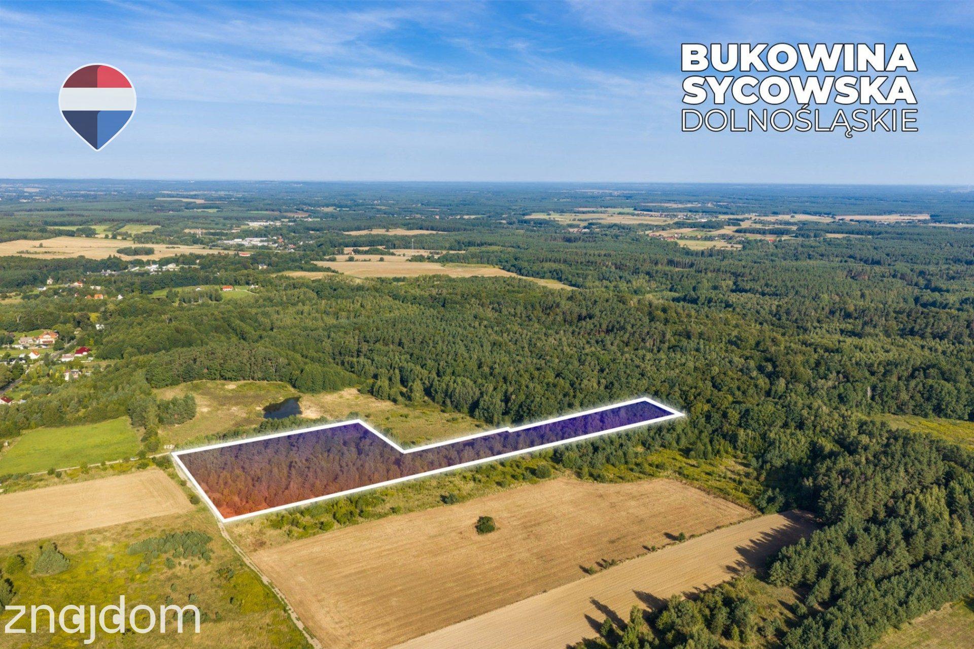 Działka leśna pow. 29.600 m², Bukowina Sycowska - zdjęcie 13