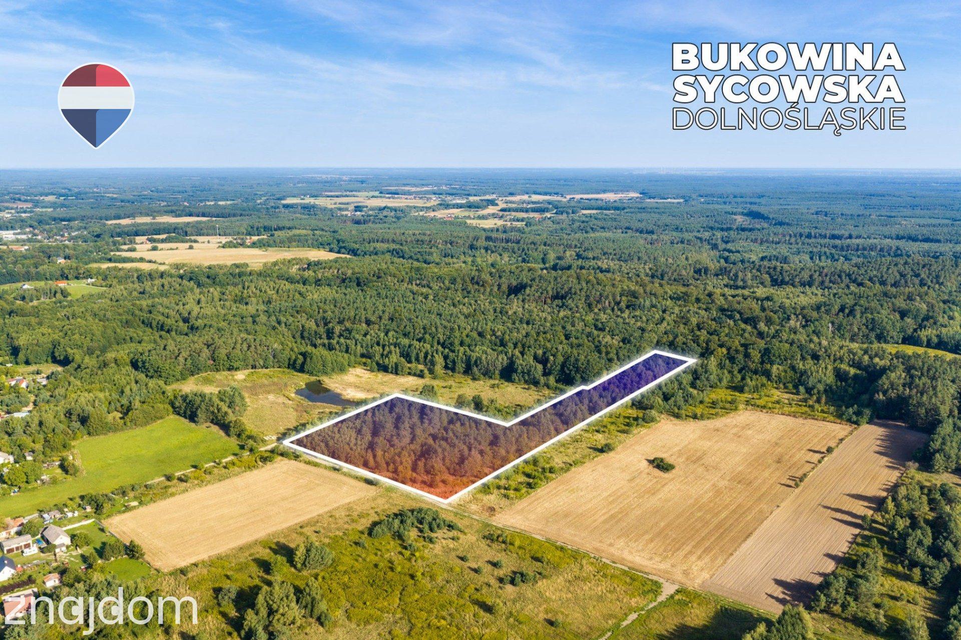 Działka leśna pow. 29.600 m², Bukowina Sycowska - zdjęcie 14