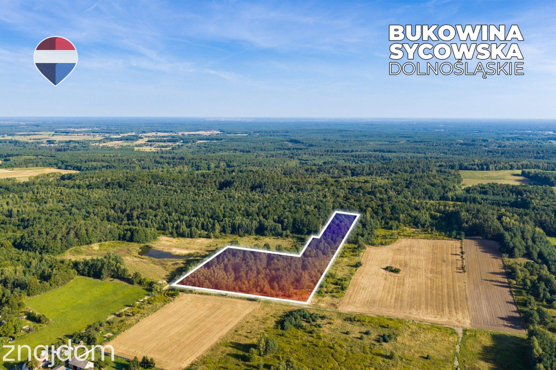 Działka leśna pow. 29.600 m², Bukowina Sycowska - zdjęcie 15