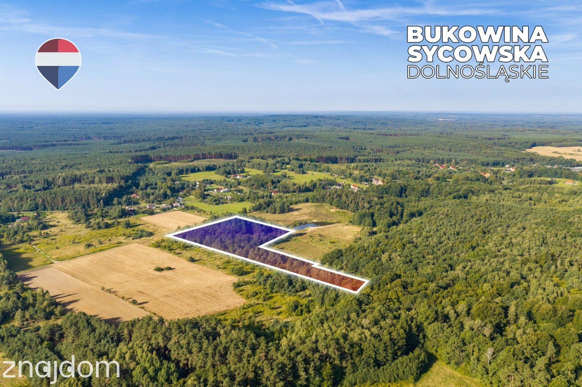 Działka leśna pow. 29.600 m², Bukowina Sycowska - zdjęcie 16