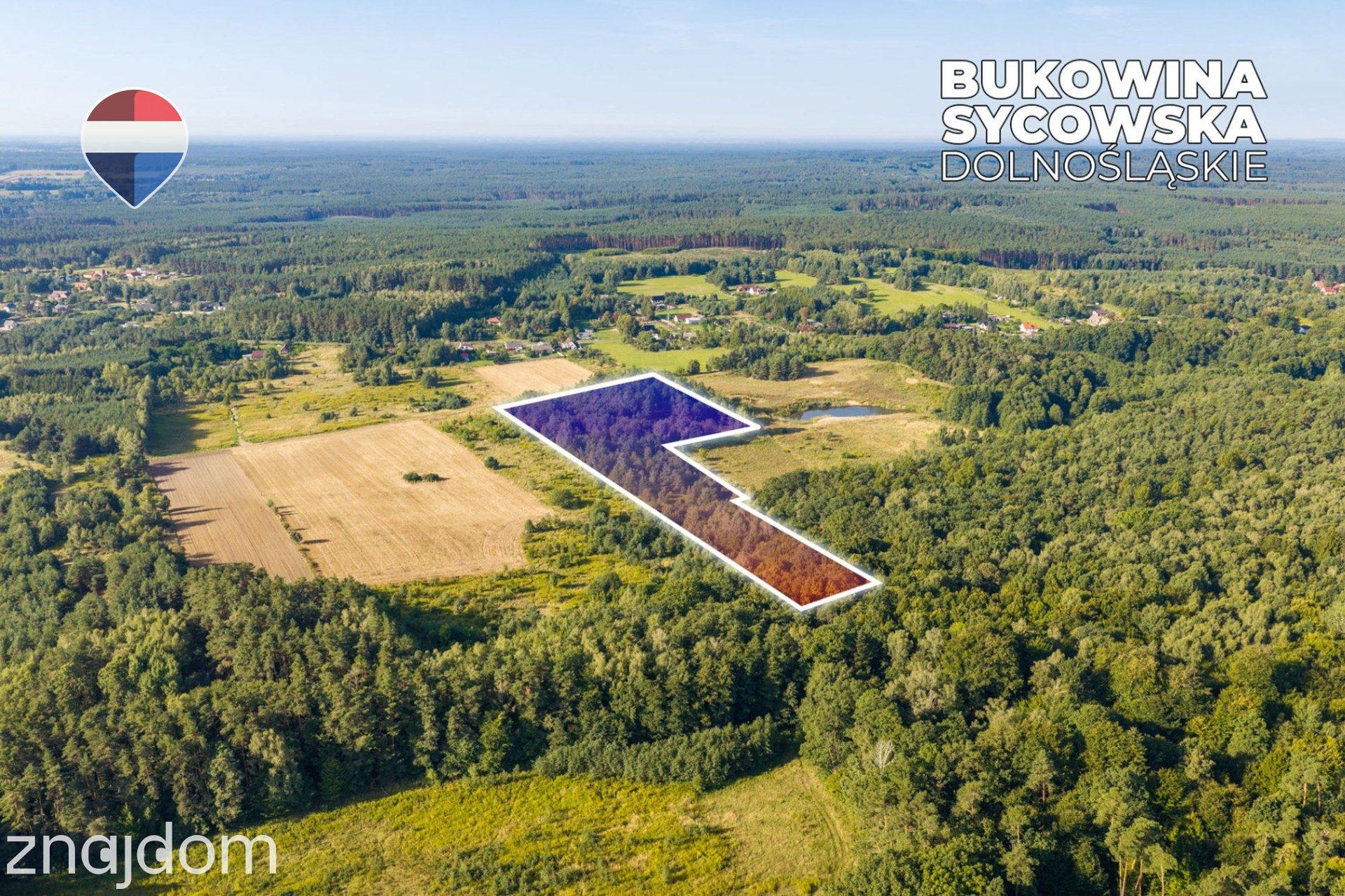 Działka leśna pow. 29.600 m², Bukowina Sycowska - zdjęcie 17