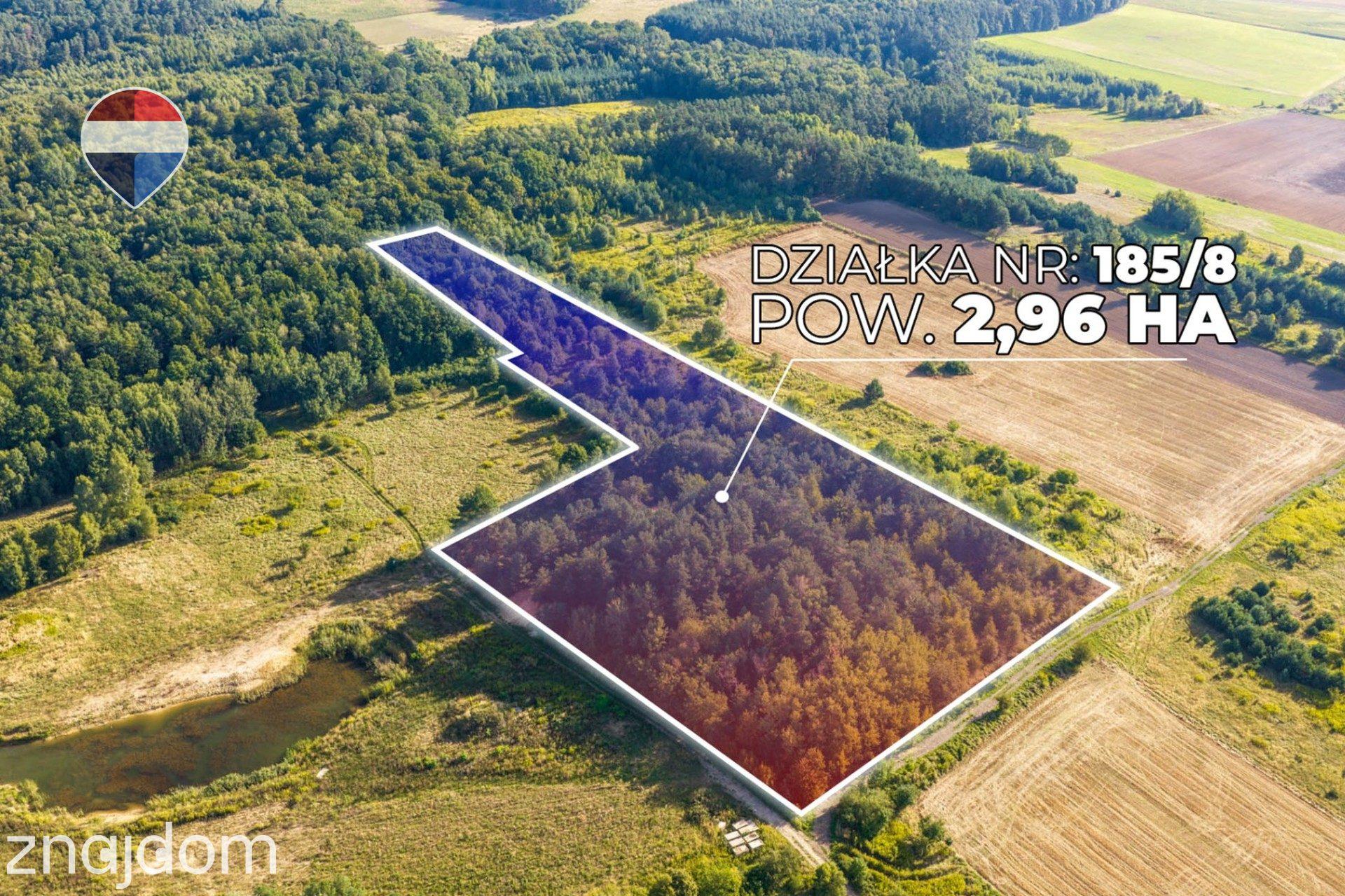 Działka leśna pow. 29.600 m², Bukowina Sycowska - zdjęcie 2