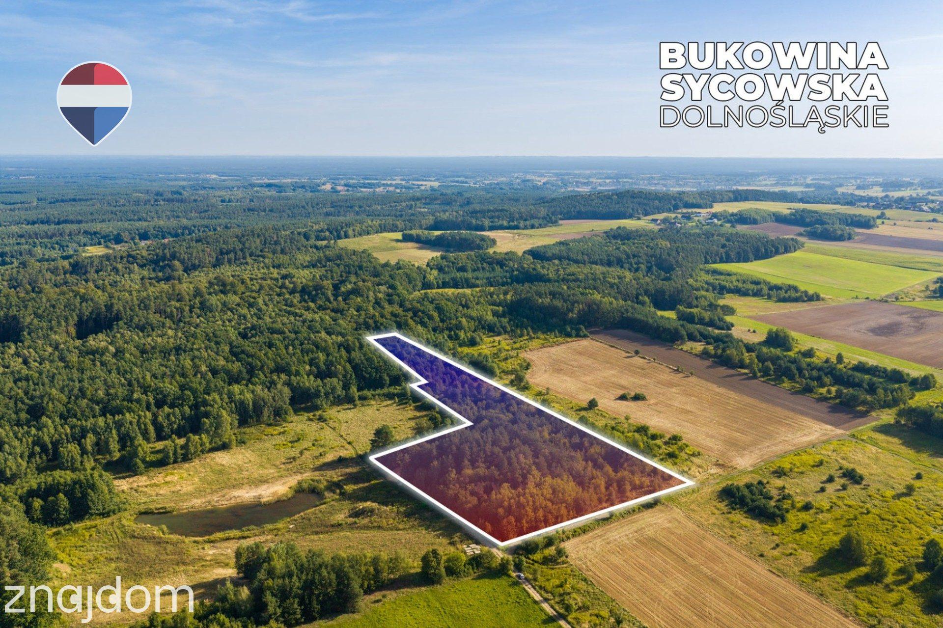 Działka leśna pow. 29.600 m², Bukowina Sycowska - zdjęcie 3