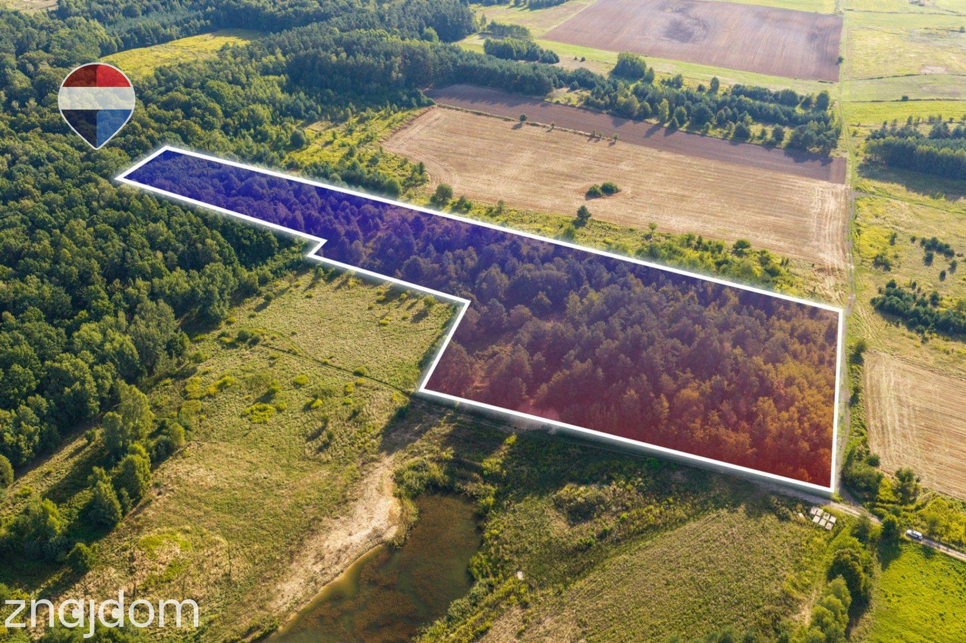 Działka leśna pow. 29.600 m², Bukowina Sycowska - zdjęcie 4