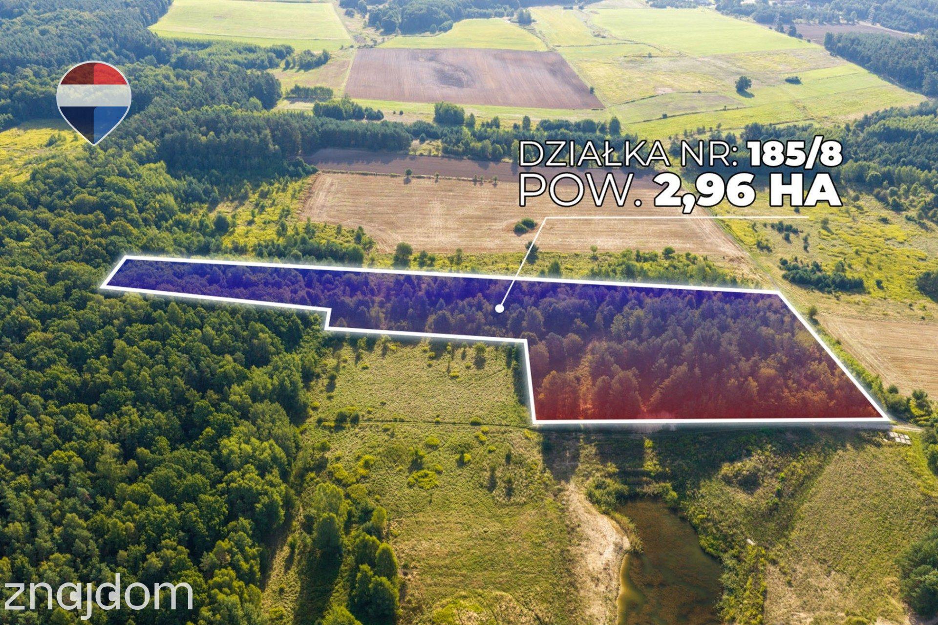Działka leśna pow. 29.600 m², Bukowina Sycowska - zdjęcie 5