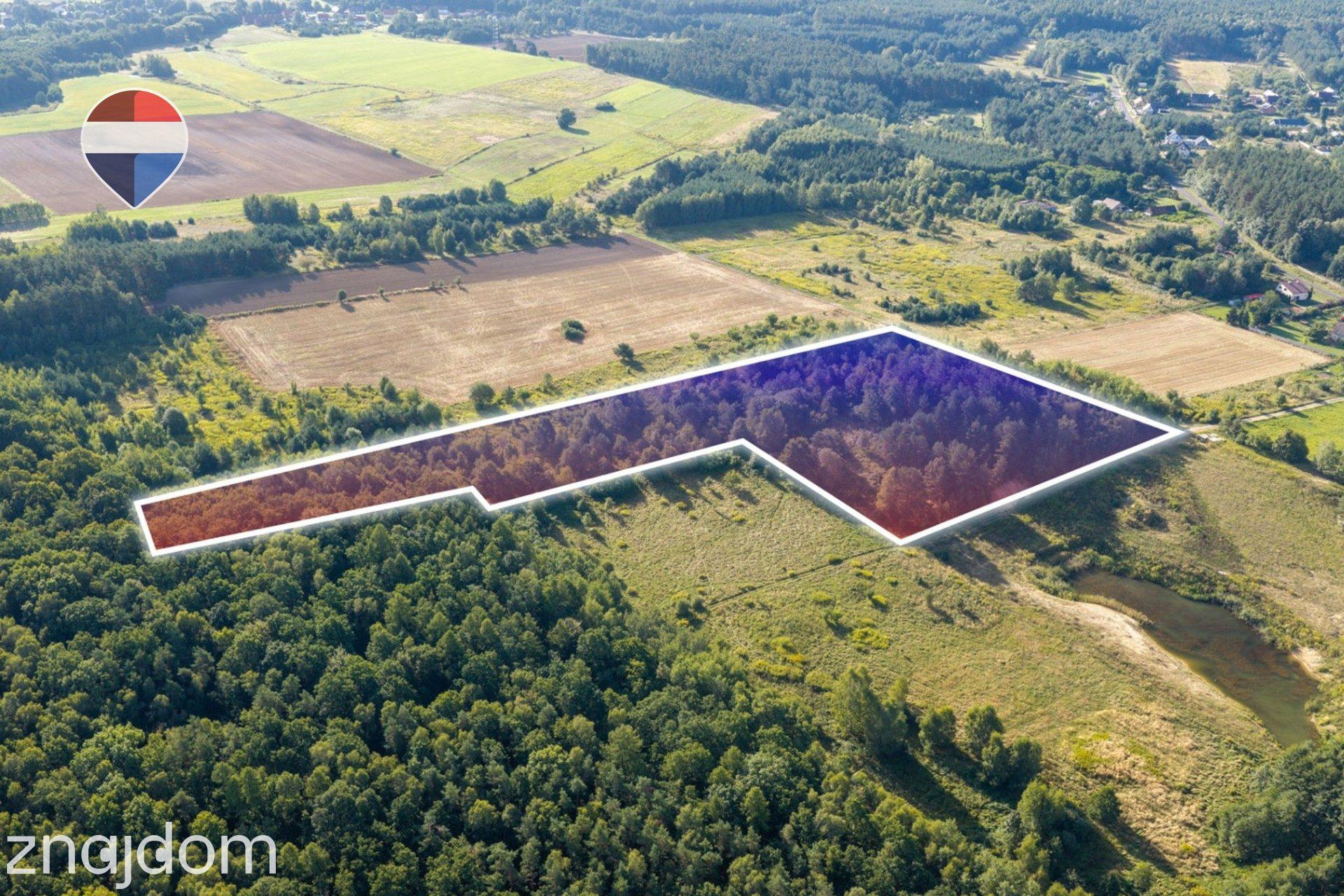 Działka leśna pow. 29.600 m², Bukowina Sycowska - zdjęcie 6