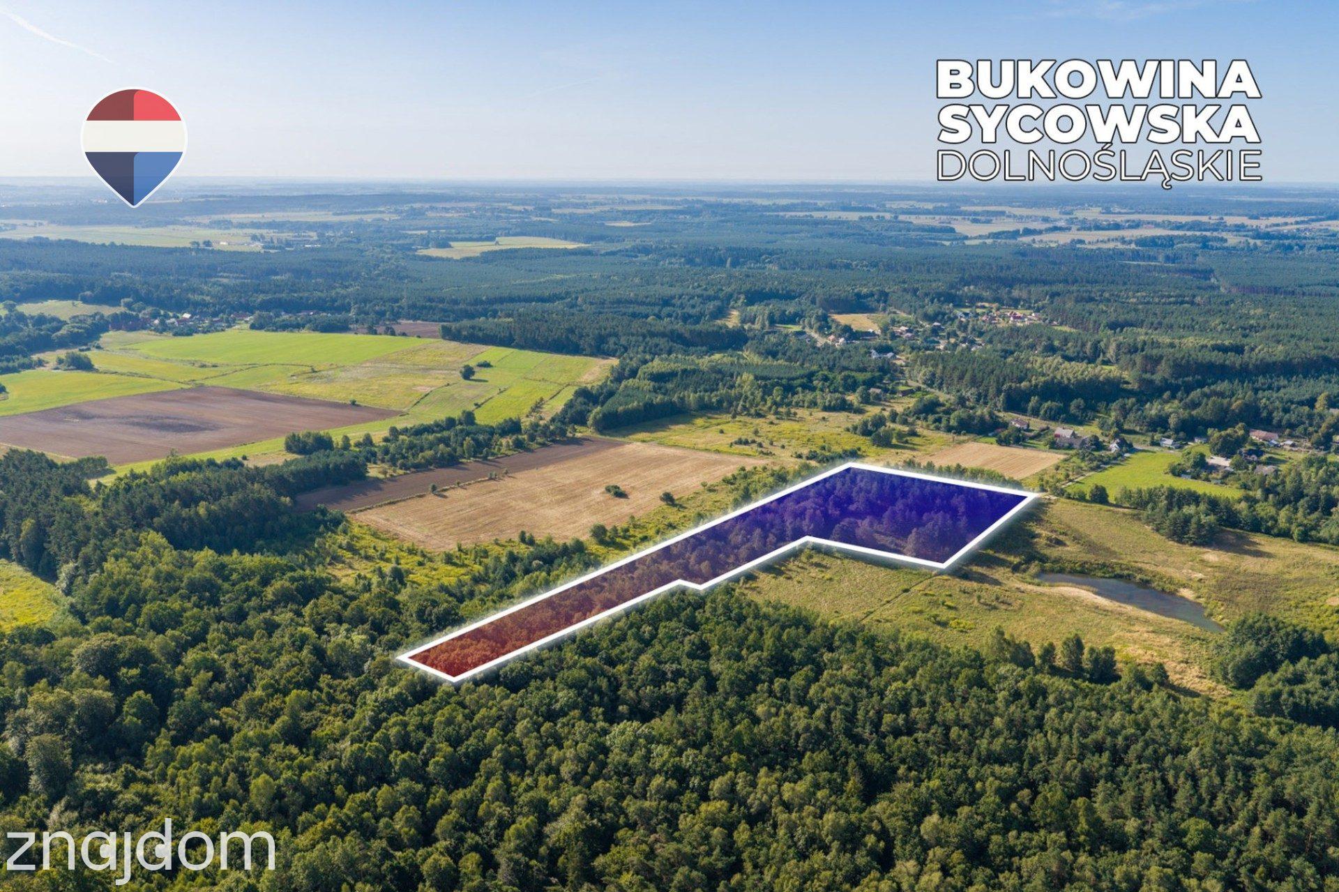 Działka leśna pow. 29.600 m², Bukowina Sycowska - zdjęcie 7