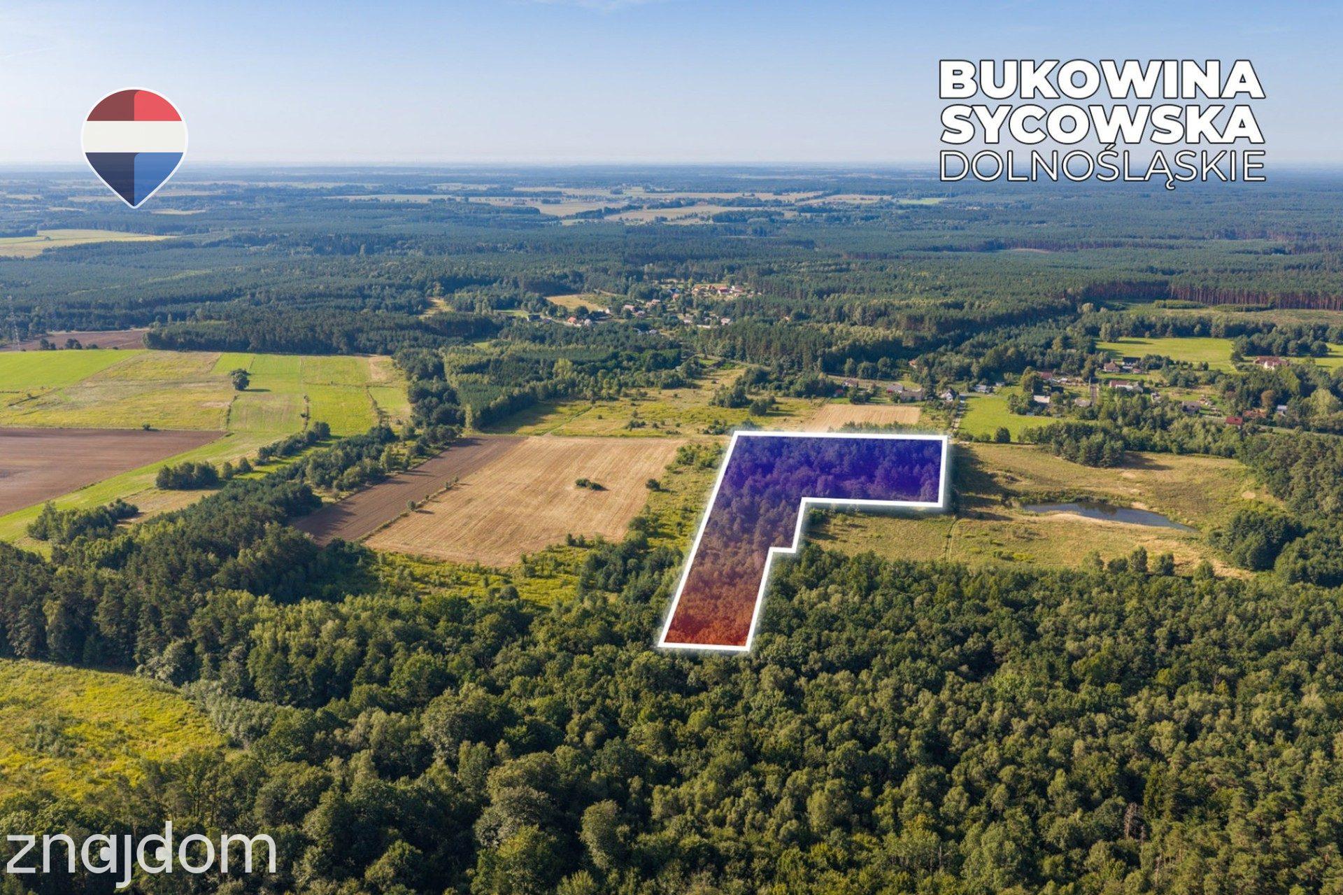 Działka leśna pow. 29.600 m², Bukowina Sycowska - zdjęcie 8