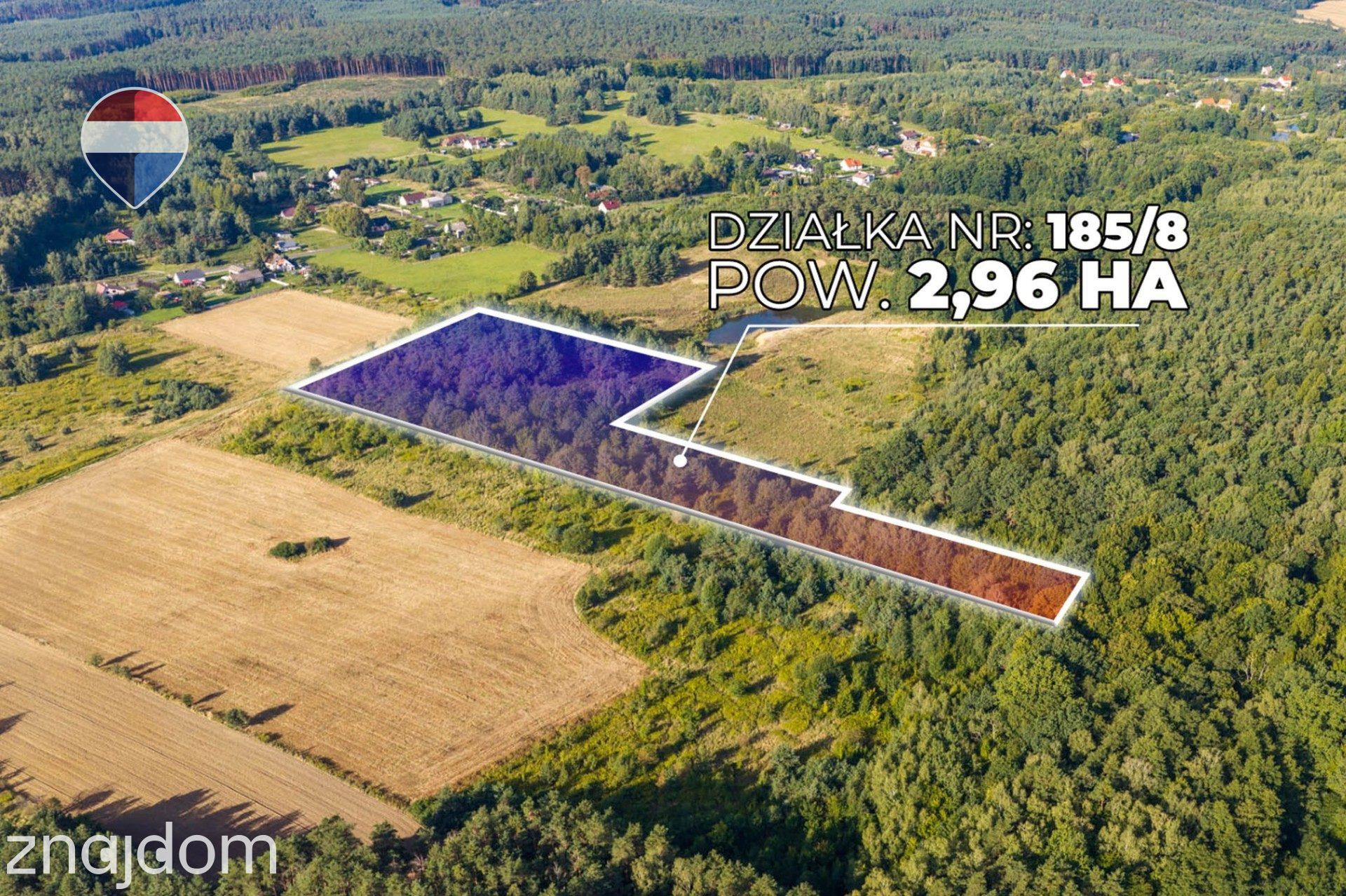 Działka leśna pow. 29.600 m², Bukowina Sycowska - zdjęcie 9