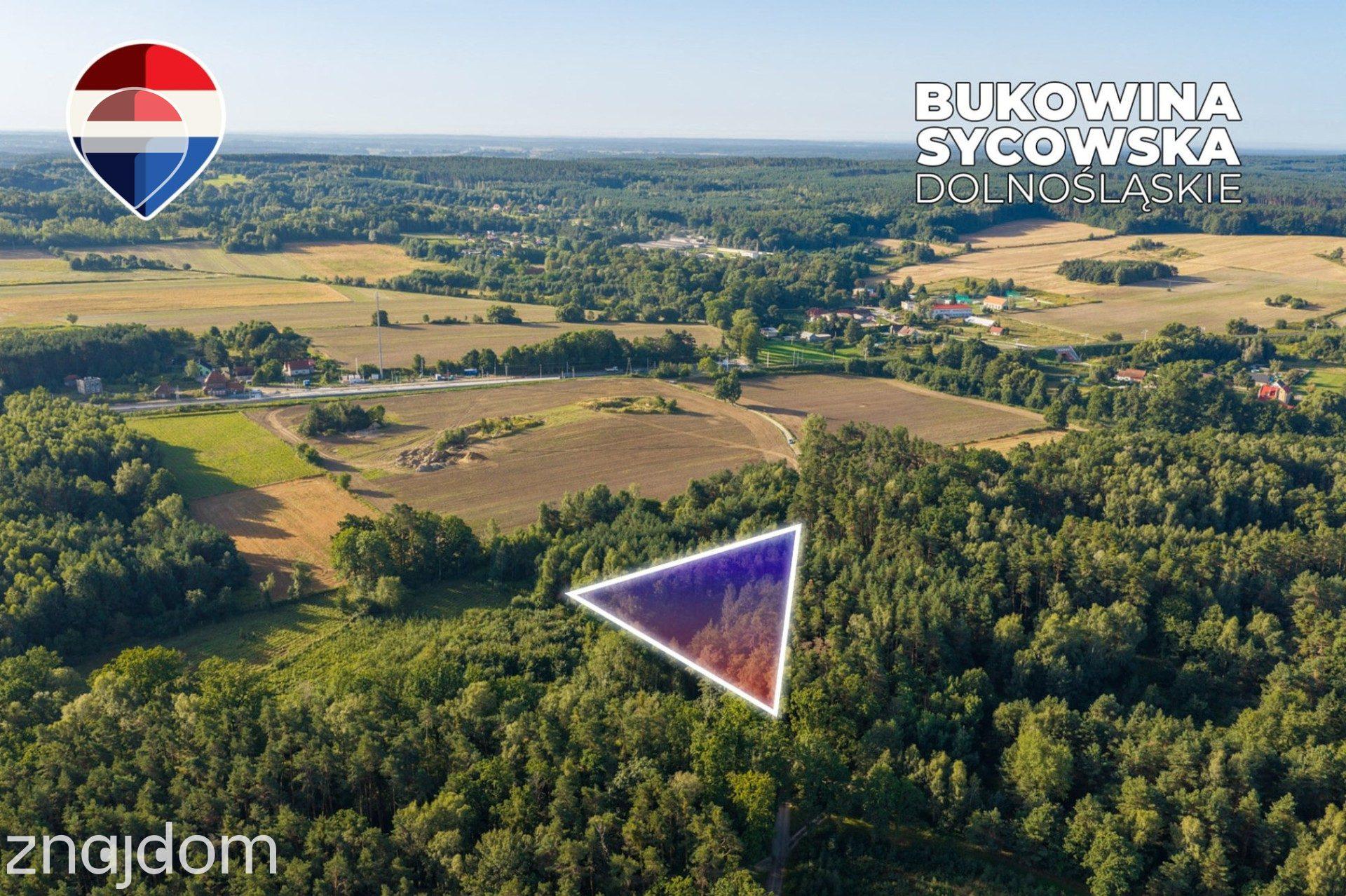 Działka leśna 3.600 m², w Bukowinie Sycowskiej