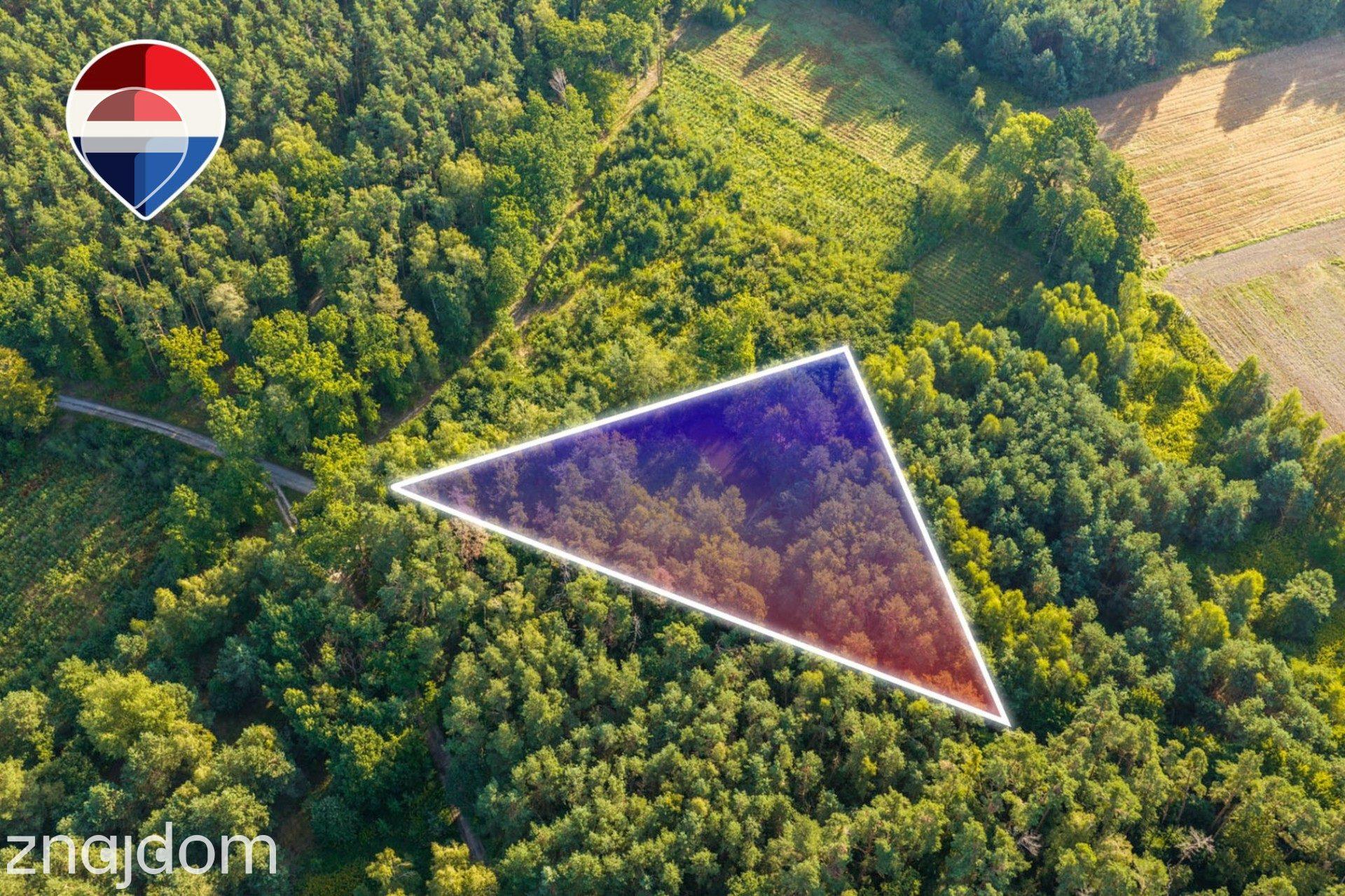 Działka leśna 3.600 m², w Bukowinie Sycowskiej - zdjęcie 10