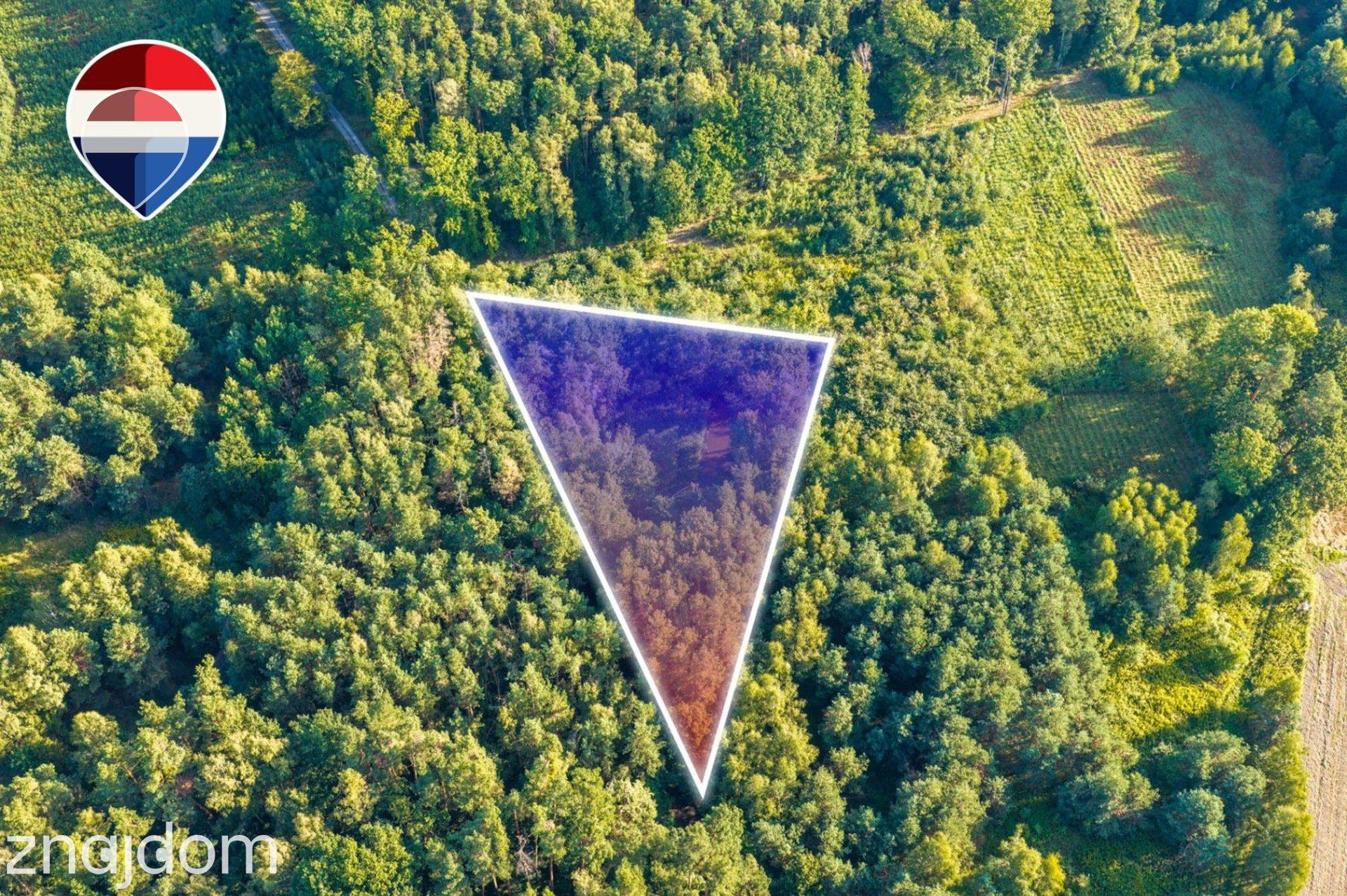Działka leśna 3.600 m², w Bukowinie Sycowskiej - zdjęcie 11