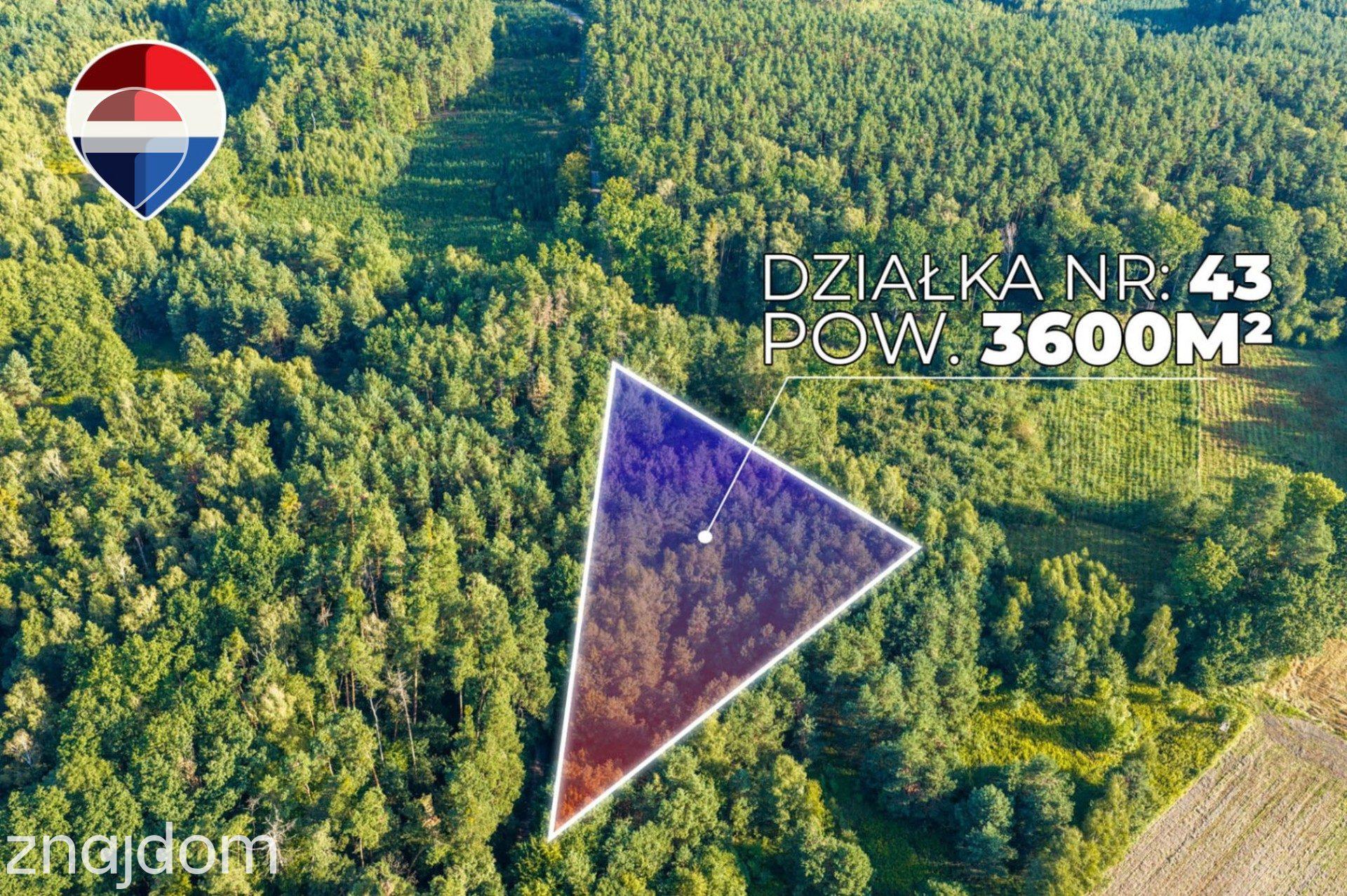 Działka leśna 3.600 m², w Bukowinie Sycowskiej - zdjęcie 12