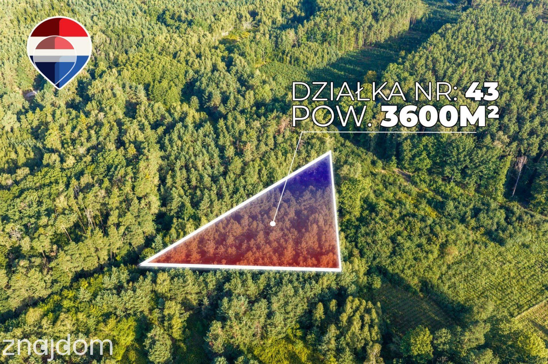 Działka leśna 3.600 m², w Bukowinie Sycowskiej - zdjęcie 13