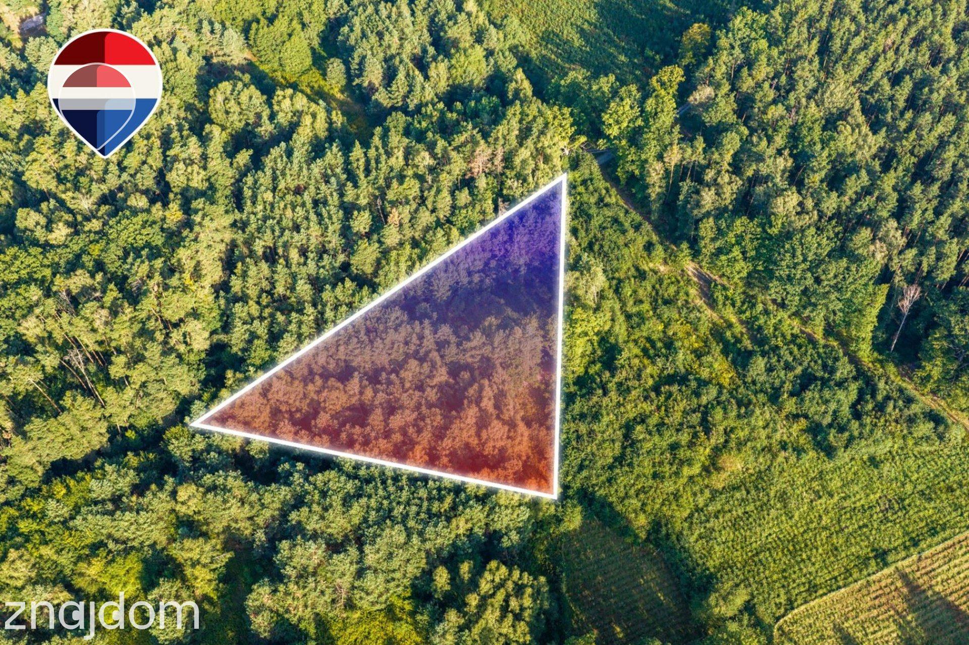 Działka leśna 3.600 m², w Bukowinie Sycowskiej - zdjęcie 14