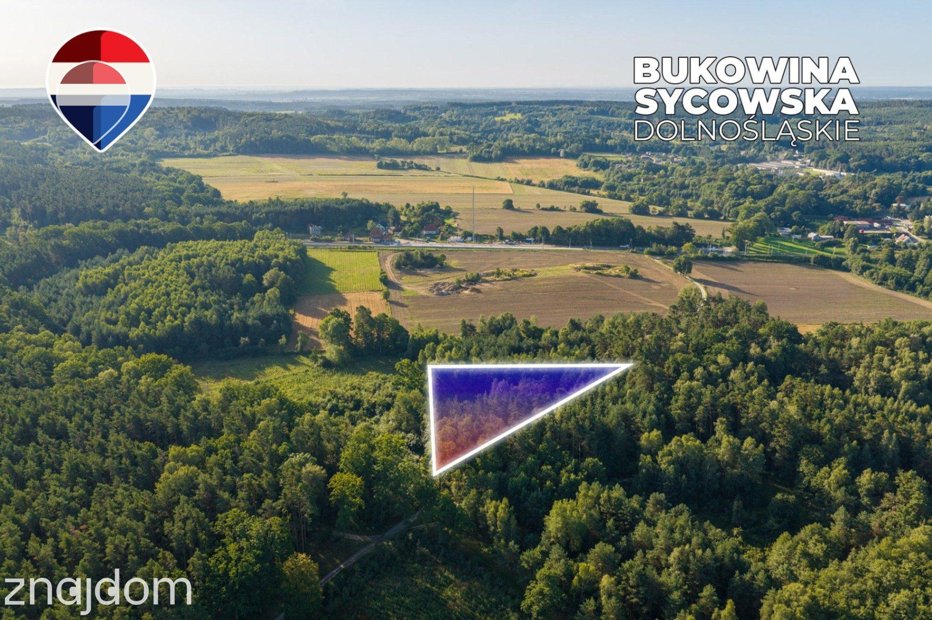 Działka leśna 3.600 m², w Bukowinie Sycowskiej - zdjęcie 2