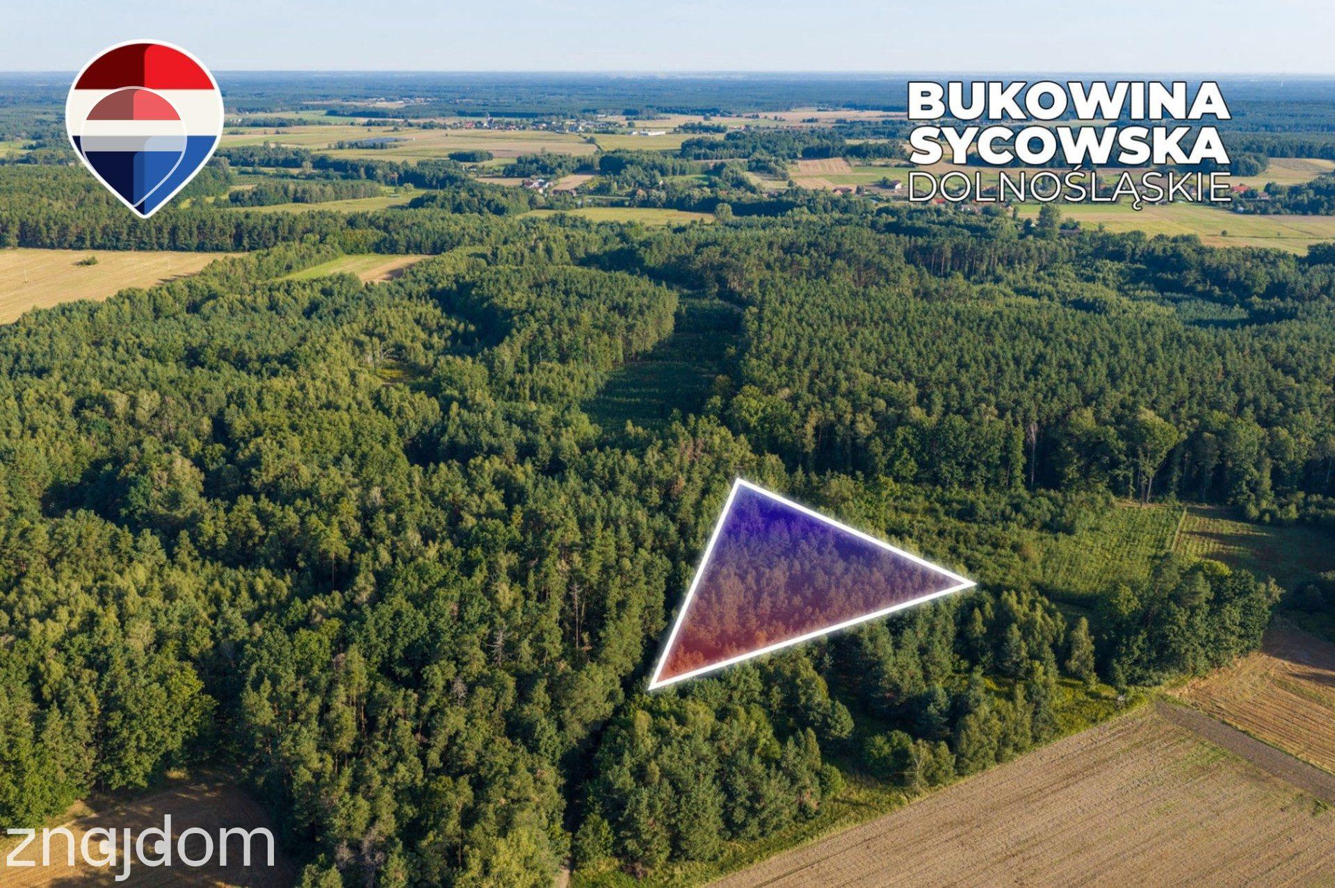Działka leśna 3.600 m², w Bukowinie Sycowskiej - zdjęcie 3