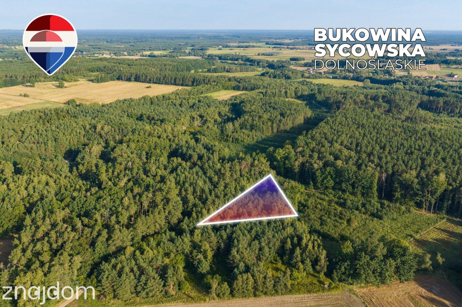 Działka leśna 3.600 m², w Bukowinie Sycowskiej - zdjęcie 4