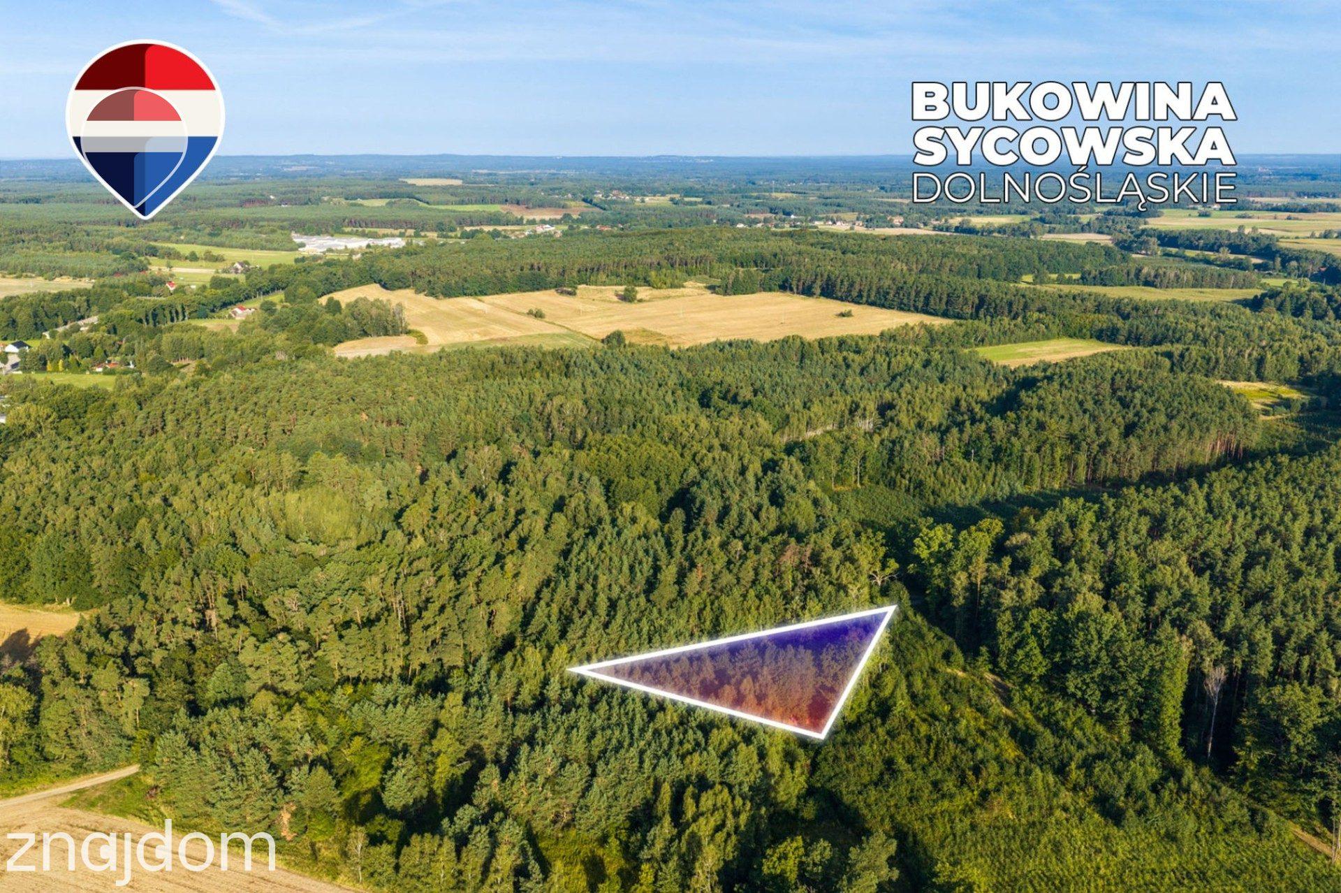 Działka leśna 3.600 m², w Bukowinie Sycowskiej - zdjęcie 5