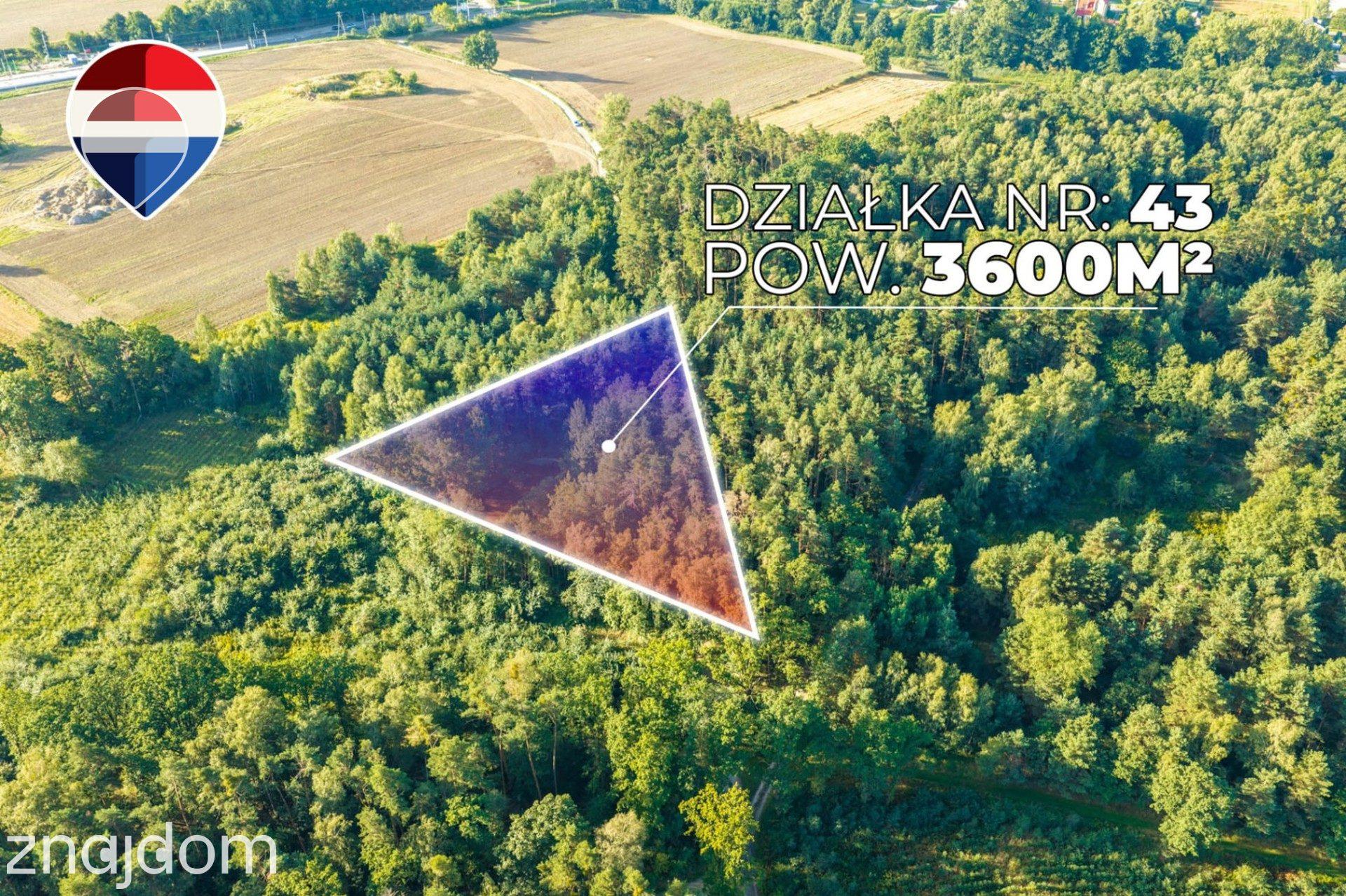 Działka leśna 3.600 m², w Bukowinie Sycowskiej - zdjęcie 6