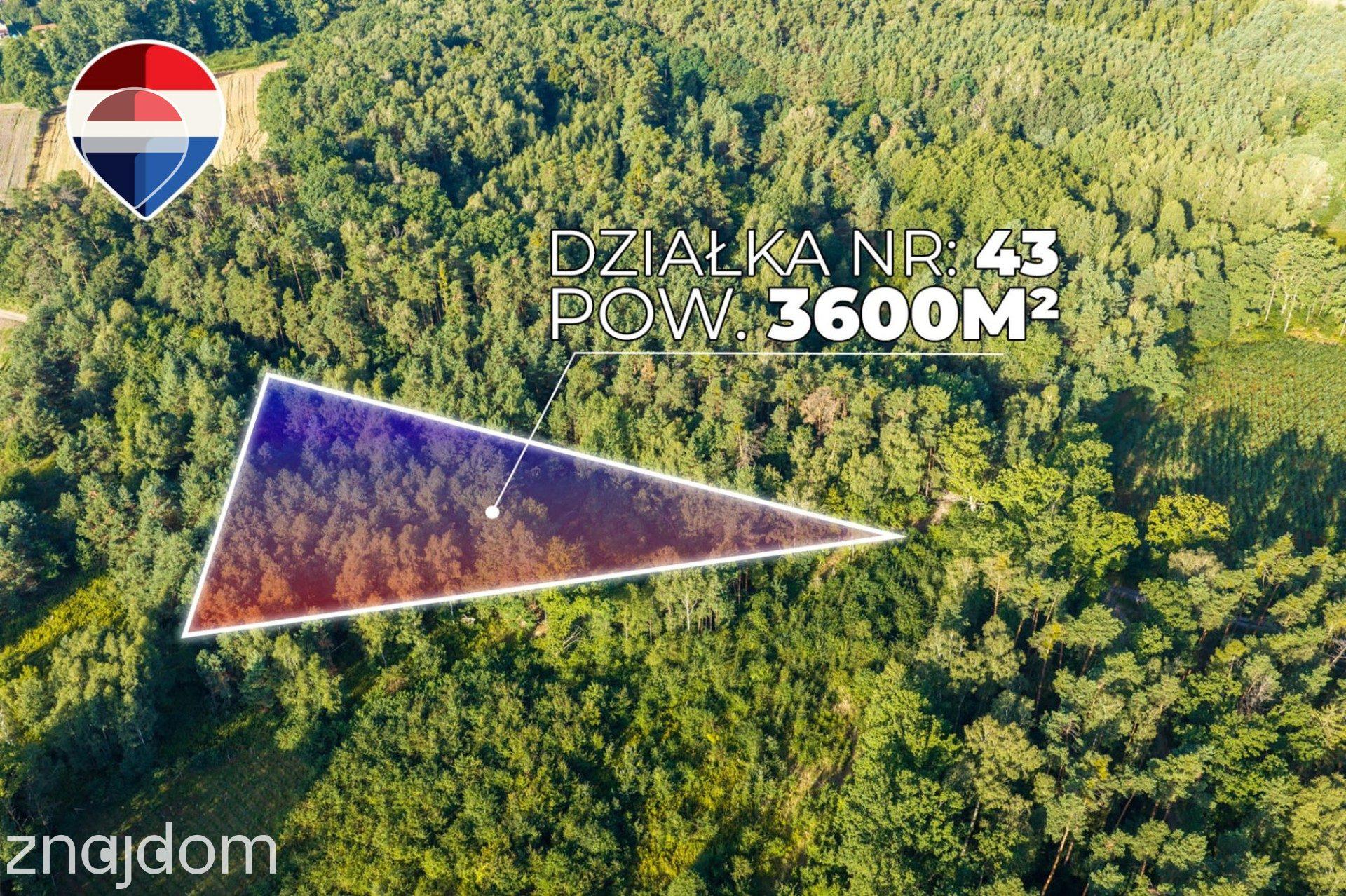 Działka leśna 3.600 m², w Bukowinie Sycowskiej - zdjęcie 7