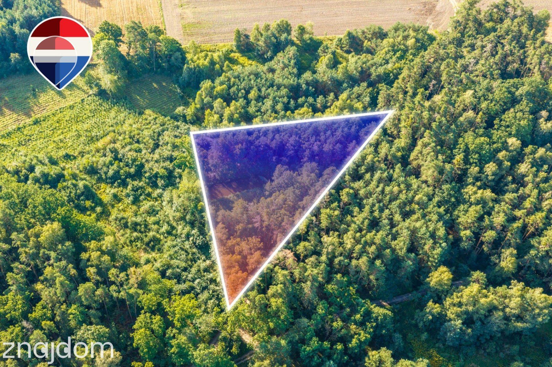 Działka leśna 3.600 m², w Bukowinie Sycowskiej - zdjęcie 8
