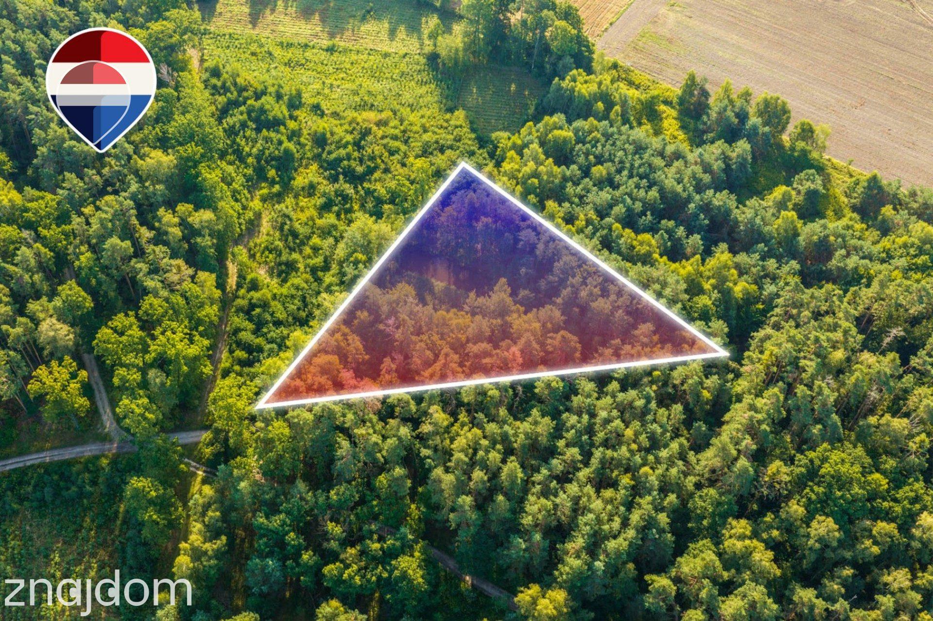 Działka leśna 3.600 m², w Bukowinie Sycowskiej - zdjęcie 9