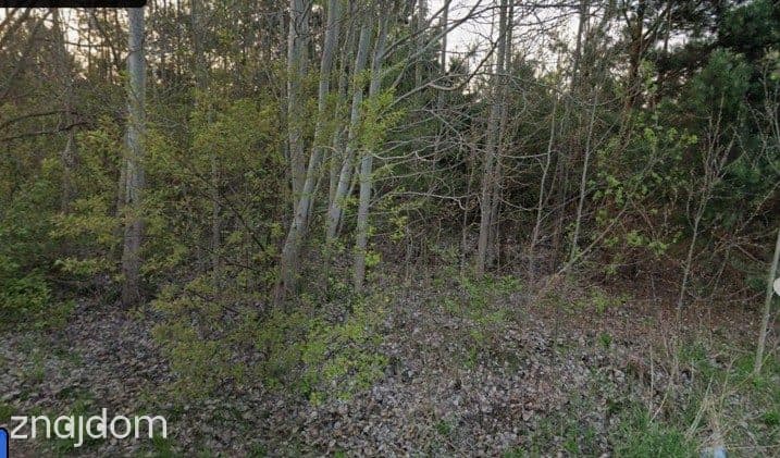 Działka budowlana 2046 m² z MPZP - 500 m od Wkry - zdjęcie 6