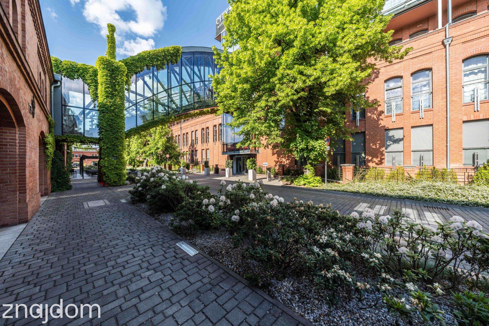 Na wynajem apartament City Park