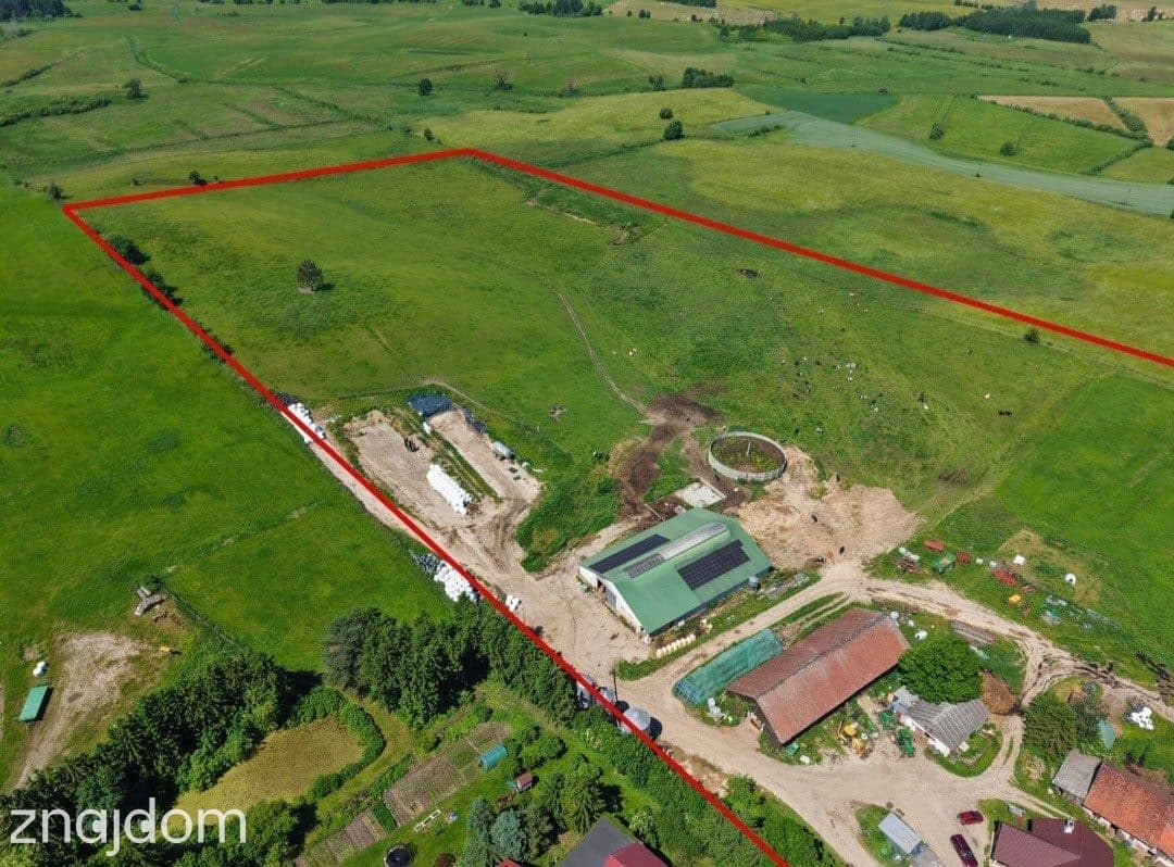 Dochodowe gospodarstwo mleczne, Czerwonka, k/Biskupca. - zdjęcie 25