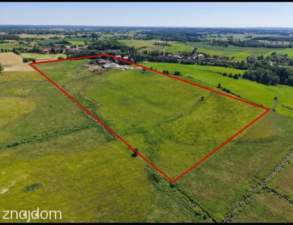 Dochodowe gospodarstwo mleczne, Czerwonka, k/Biskupca. - zdjęcie 28