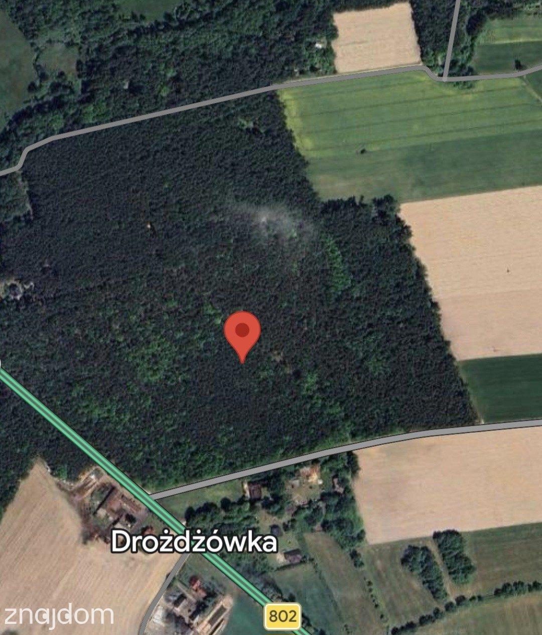 Leśna działka pod dom całoroczny. MPZP, woda i prąd przy działce - zdjęcie 4