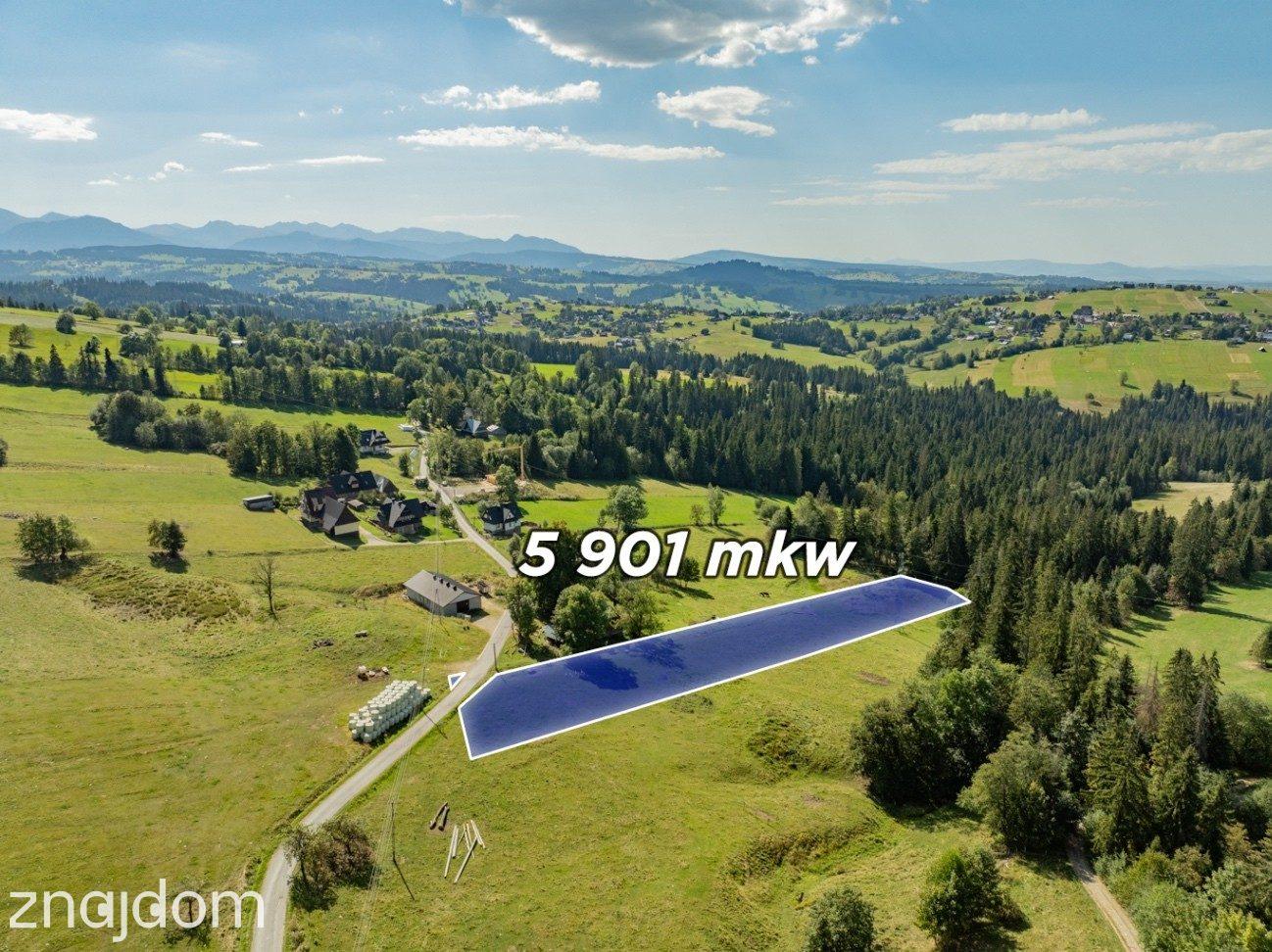 Sierockie - działka 5901m2 - WZtka 4 domy