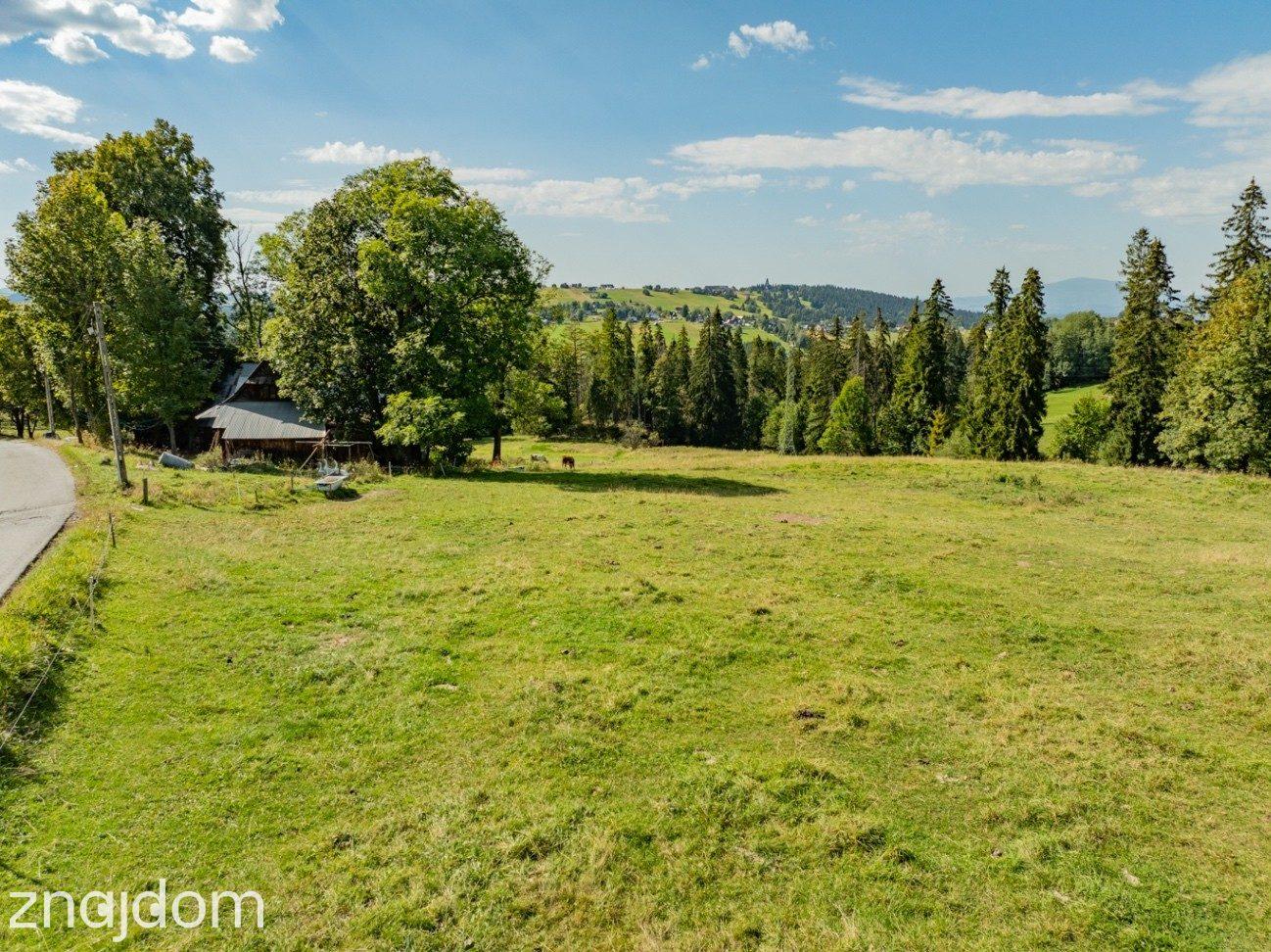 Sierockie - działka 5901m2 - WZtka 4 domy - zdjęcie 10