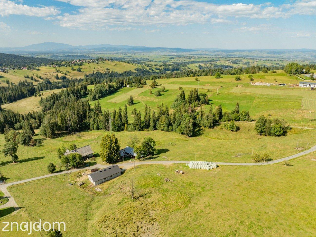 Sierockie - działka 5901m2 - WZtka 4 domy - zdjęcie 18