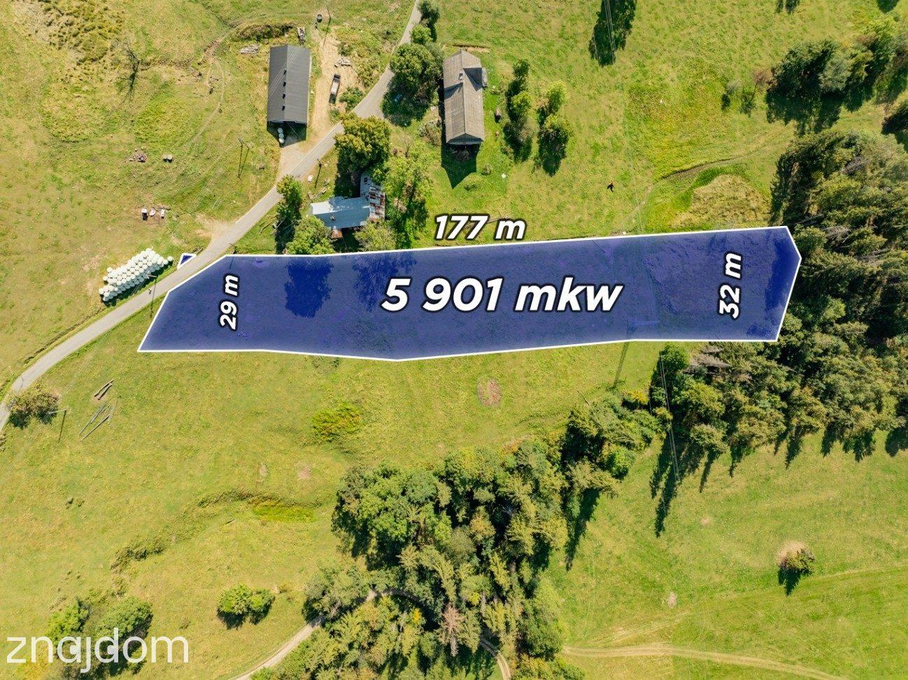 Sierockie - działka 5901m2 - WZtka 4 domy - zdjęcie 2