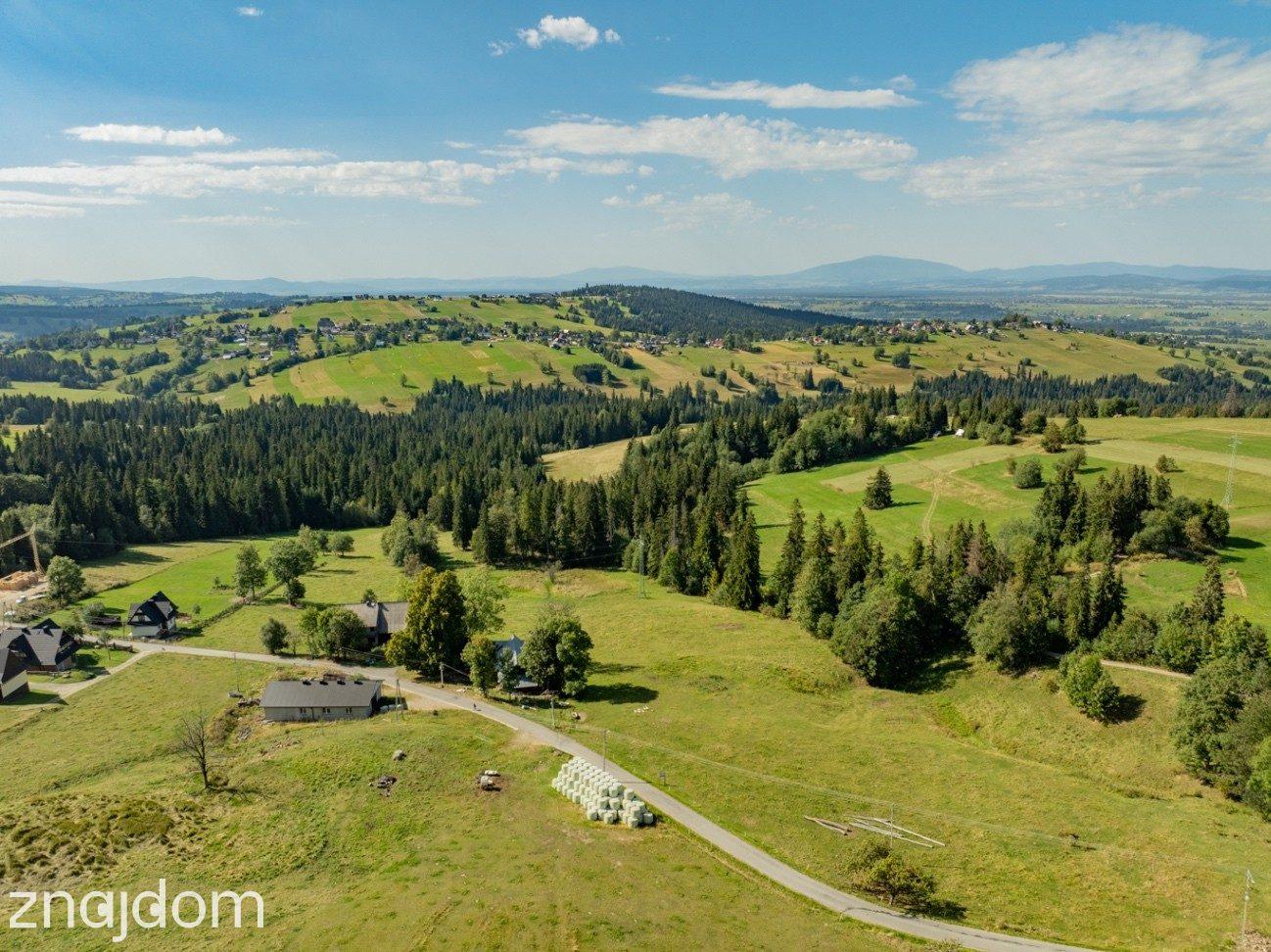 Sierockie - działka 5901m2 - WZtka 4 domy - zdjęcie 4