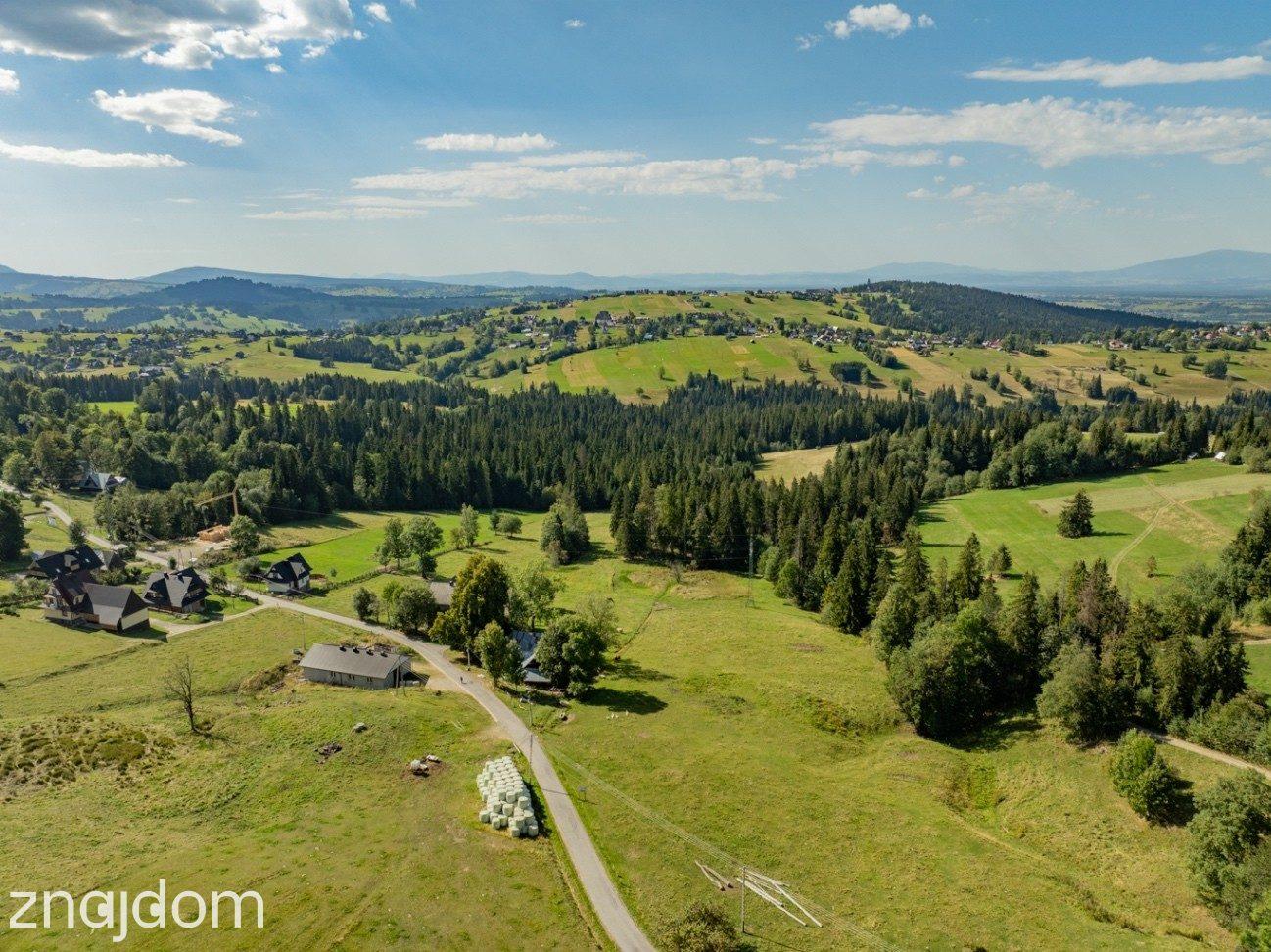 Sierockie - działka 5901m2 - WZtka 4 domy - zdjęcie 5