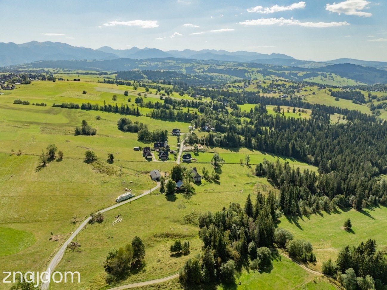 Sierockie - działka 5901m2 - WZtka 4 domy - zdjęcie 6