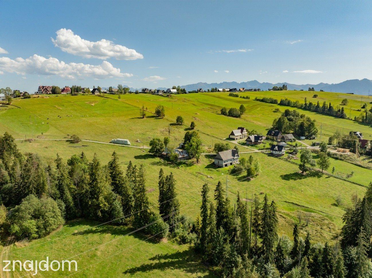 Sierockie - działka 5901m2 - WZtka 4 domy - zdjęcie 8