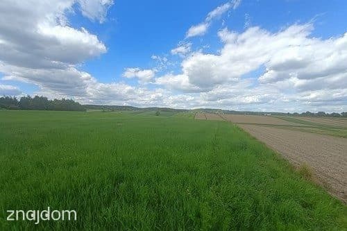 Działka rolna | Cholerzyn | 5400 m2