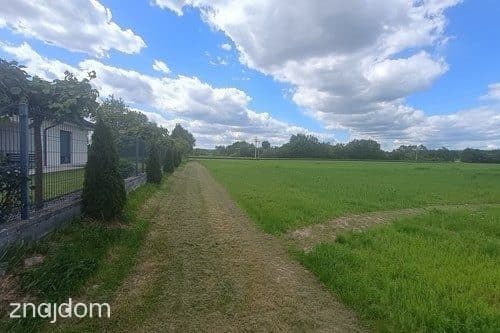 Działka rolna | Cholerzyn | 5400 m2 - zdjęcie 3